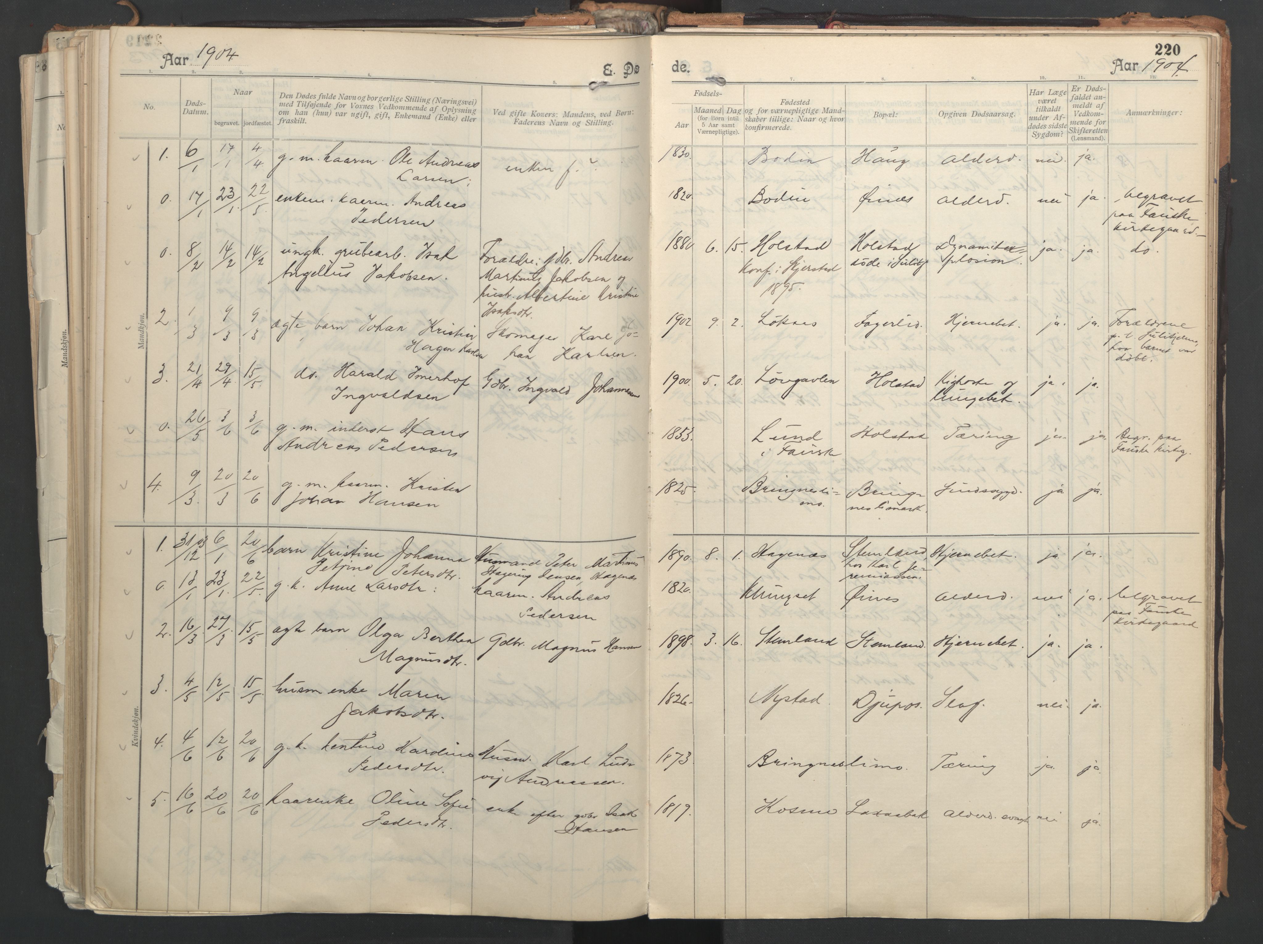 Ministerialprotokoller, klokkerbøker og fødselsregistre - Nordland, AV/SAT-A-1459/851/L0724: Parish register (official) no. 851A01, 1901-1922, p. 220