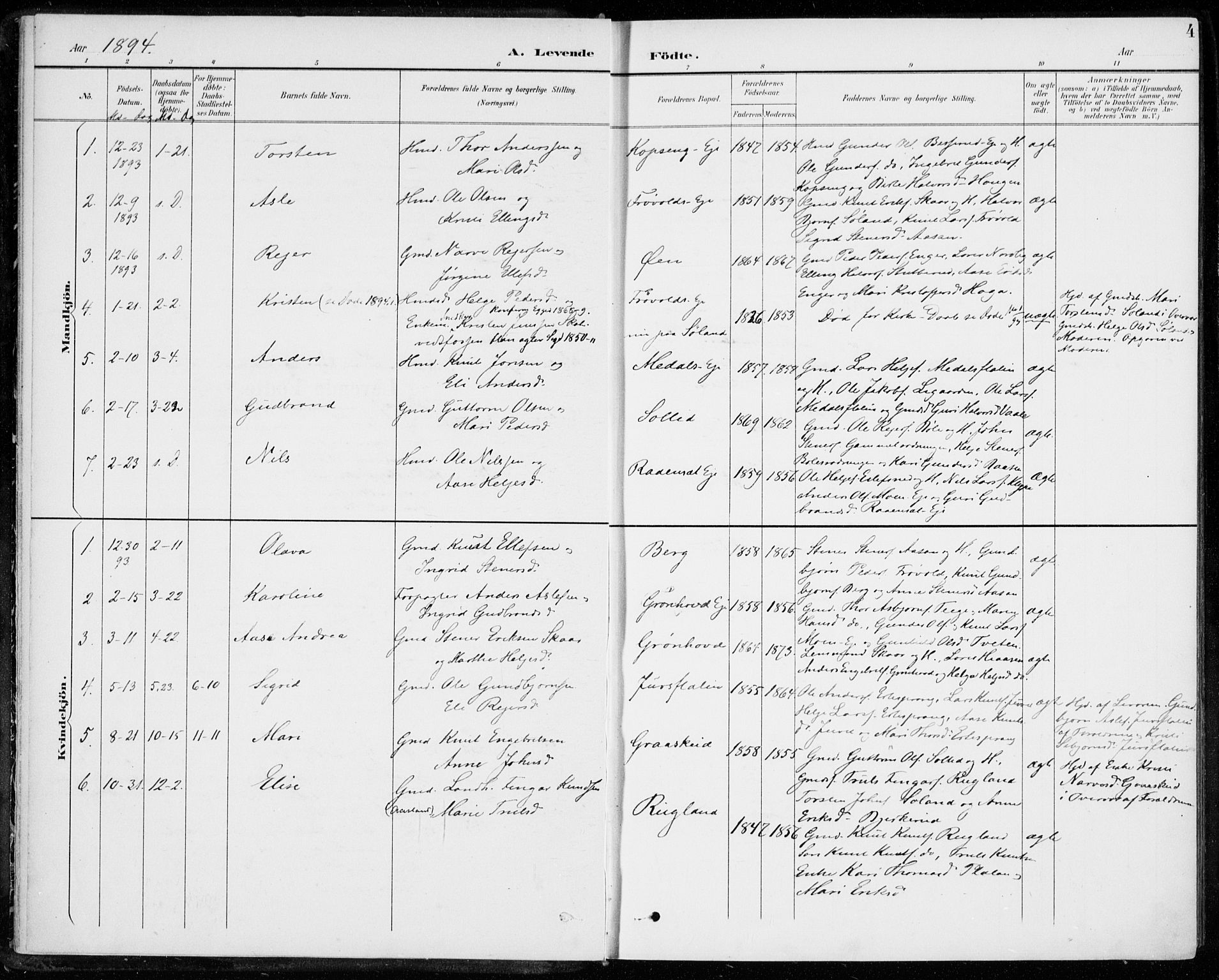 Sigdal kirkebøker, AV/SAKO-A-245/F/Fc/L0002: Parish register (official) no. III 2, 1894-1911, p. 4