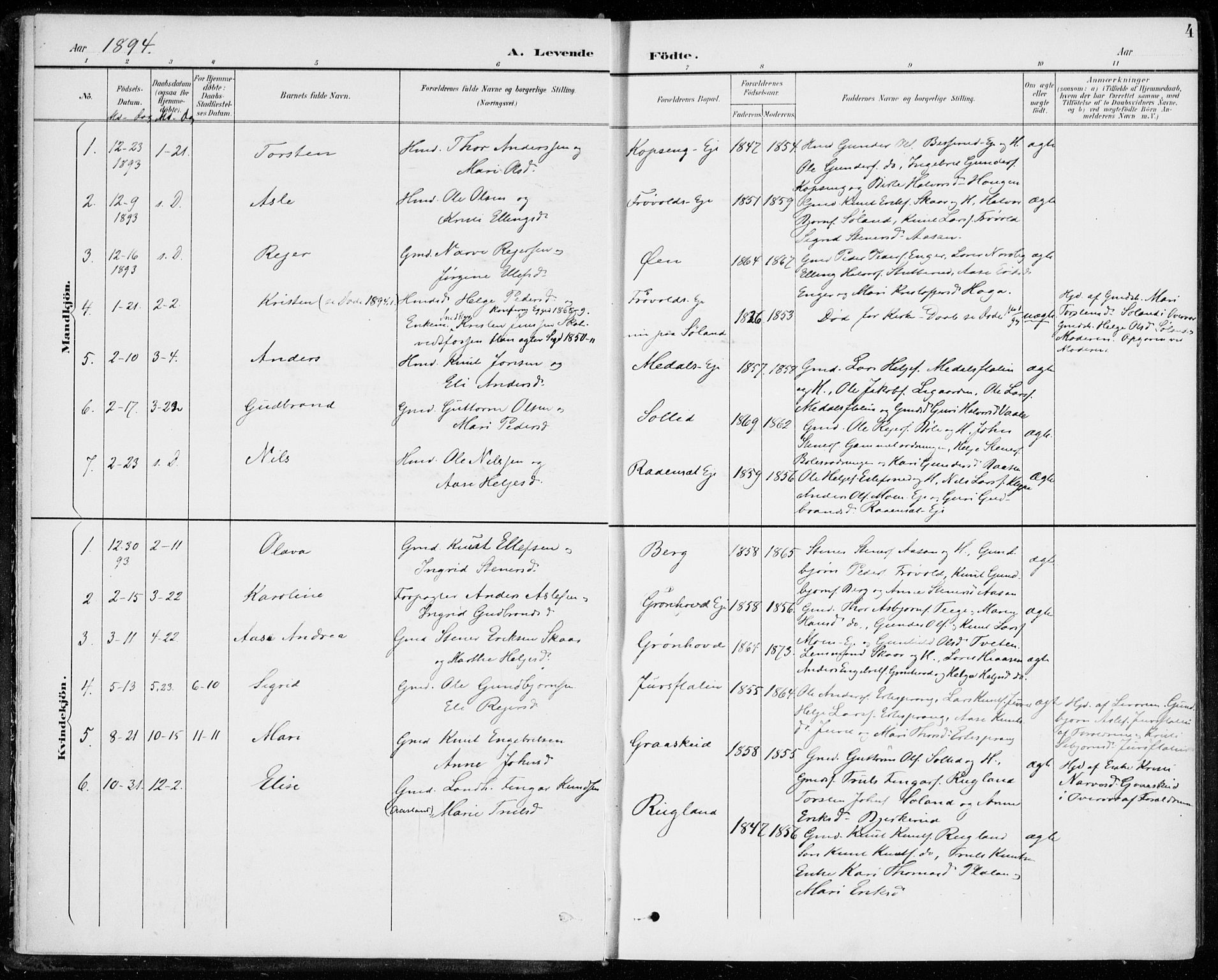 Sigdal kirkebøker, SAKO/A-245/F/Fc/L0002: Parish register (official) no. III 2, 1894-1911, p. 4