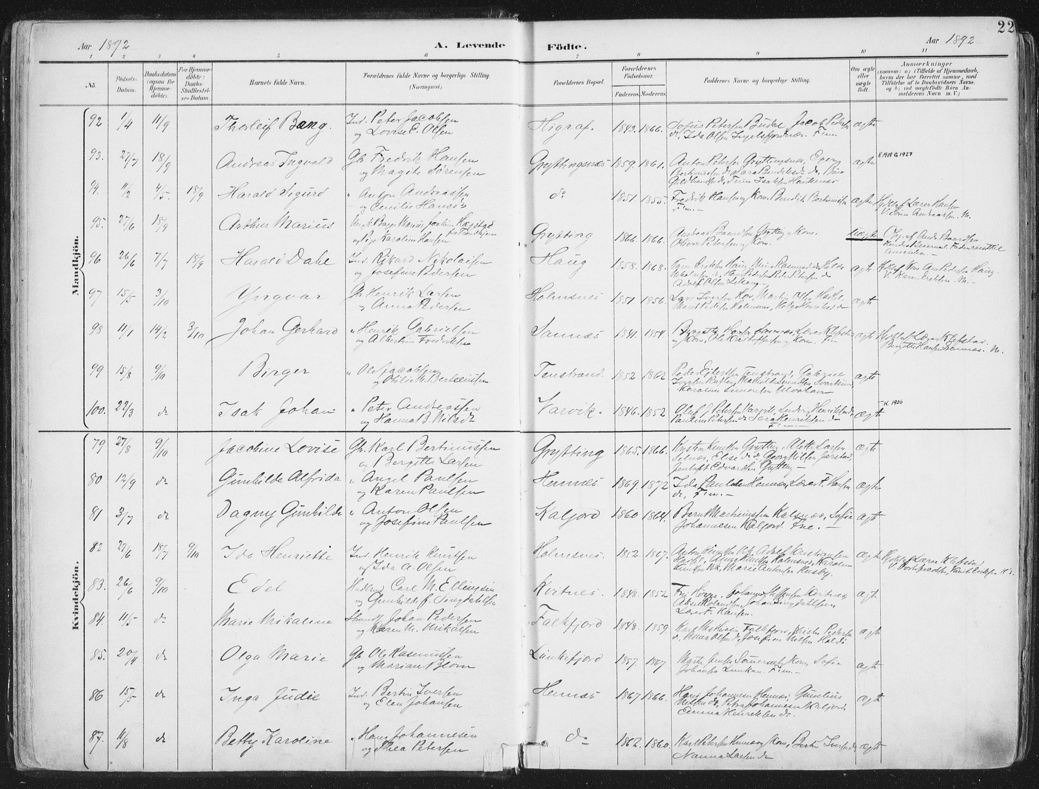 Ministerialprotokoller, klokkerbøker og fødselsregistre - Nordland, AV/SAT-A-1459/888/L1246: Parish register (official) no. 888A12, 1891-1903, p. 22