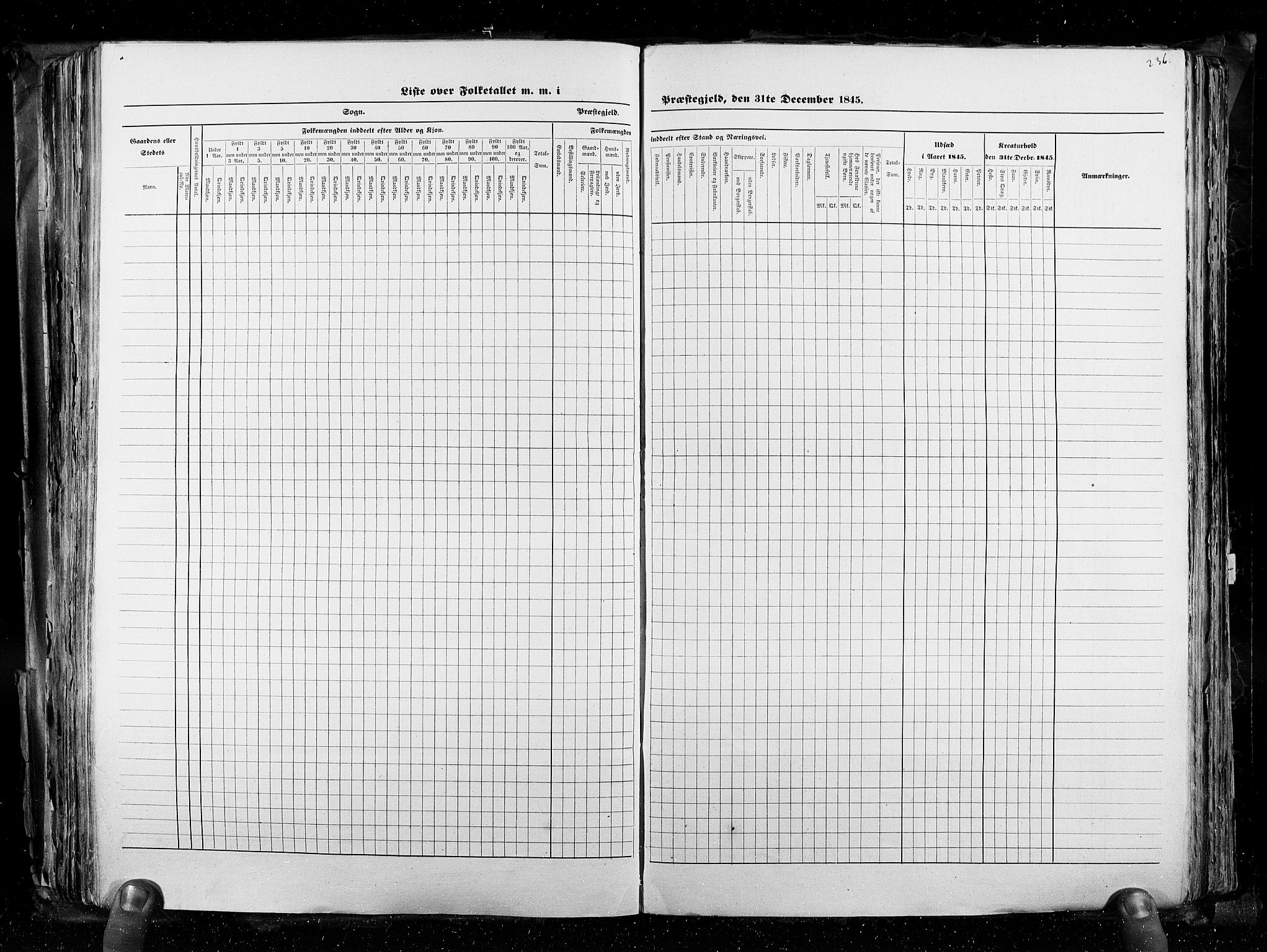 RA, Census 1845, vol. 3: Hedemarken amt og Kristians amt, 1845, p. 236