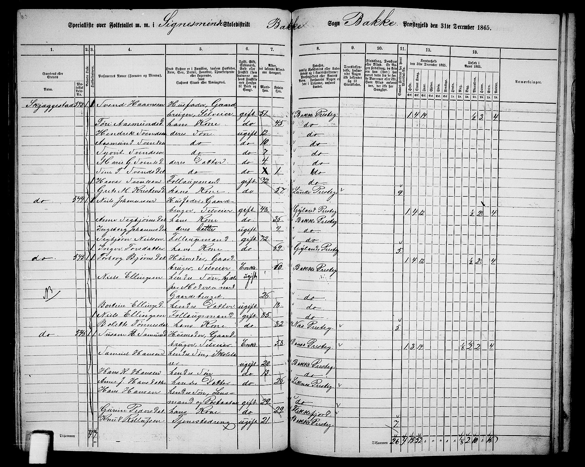 RA, 1865 census for Bakke, 1865, p. 97