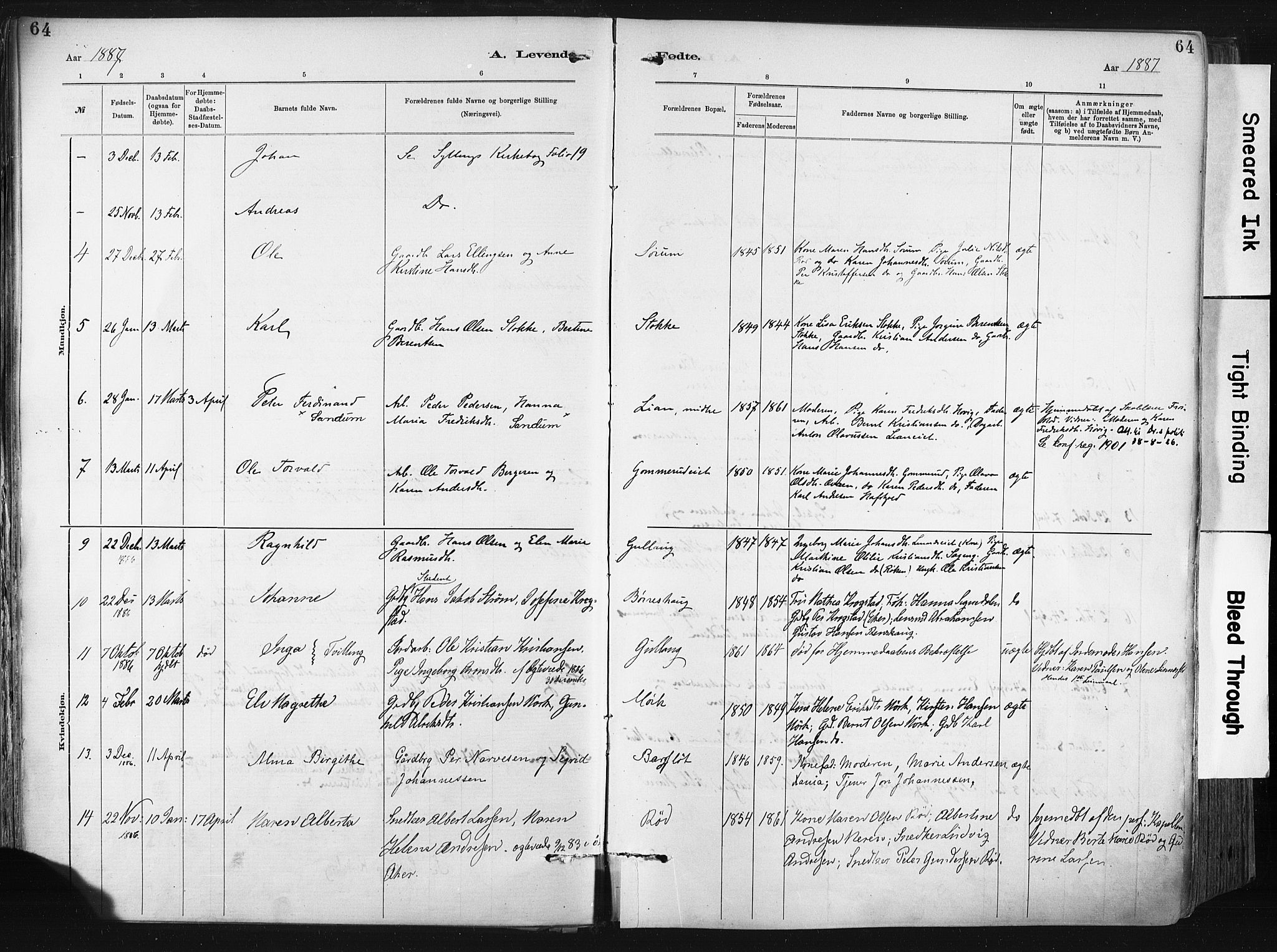 Lier kirkebøker, SAKO/A-230/F/Fa/L0015: Parish register (official) no. I 15, 1883-1894, p. 64