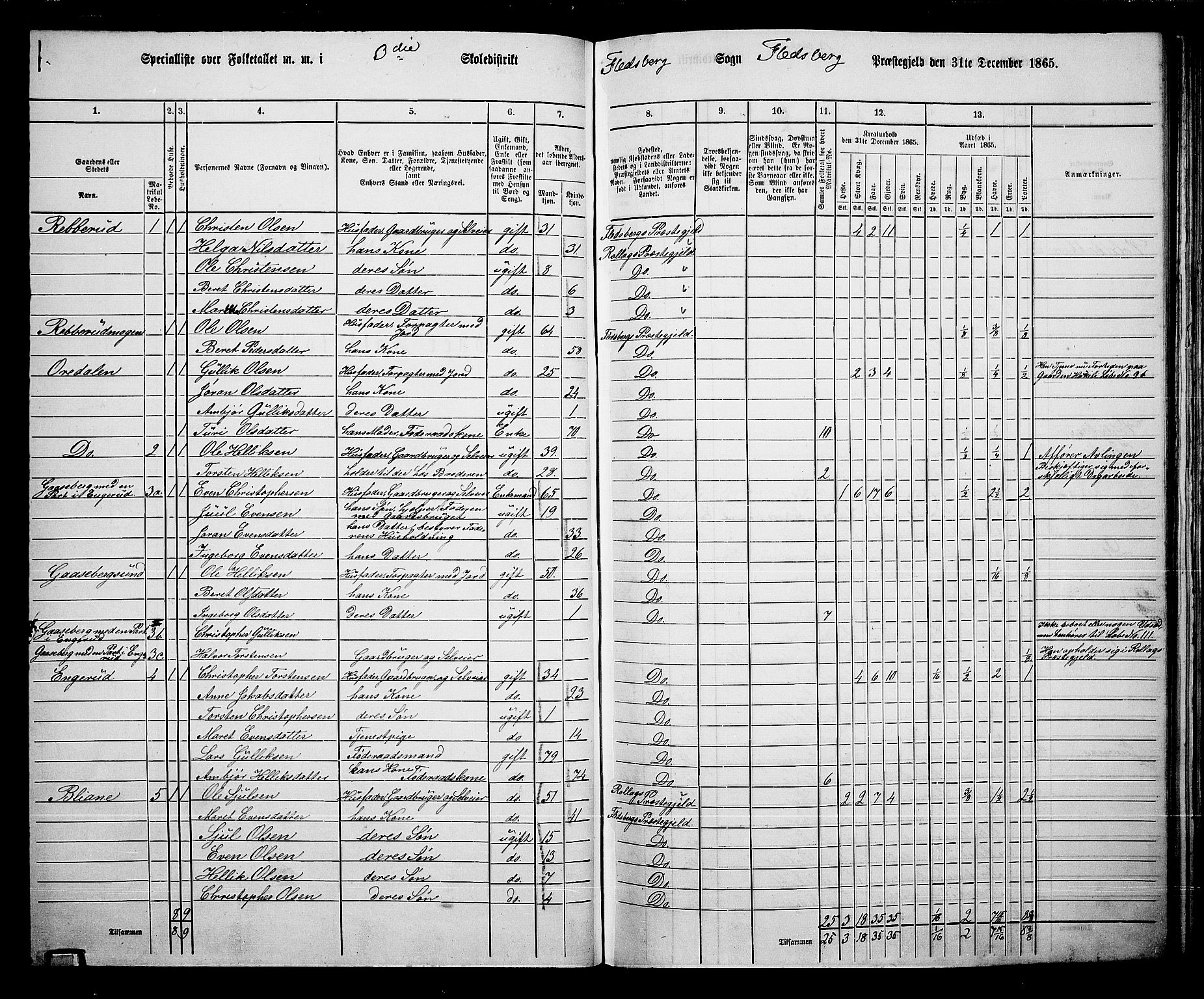 RA, 1865 census for Flesberg, 1865, p. 65