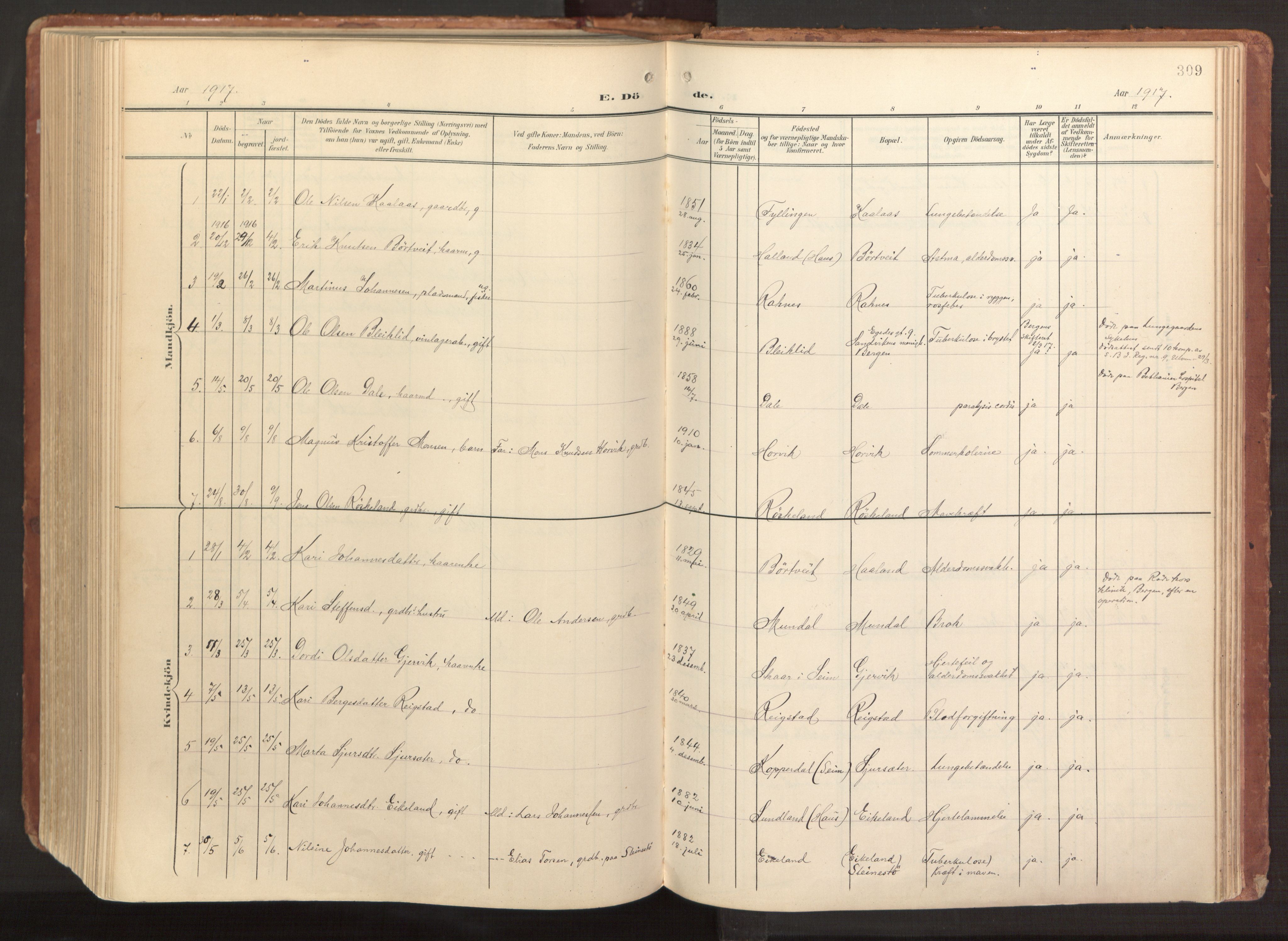 Hamre sokneprestembete, AV/SAB-A-75501/H/Ha/Haa/Haab/L0002: Parish register (official) no. B 2, 1905-1924, p. 309