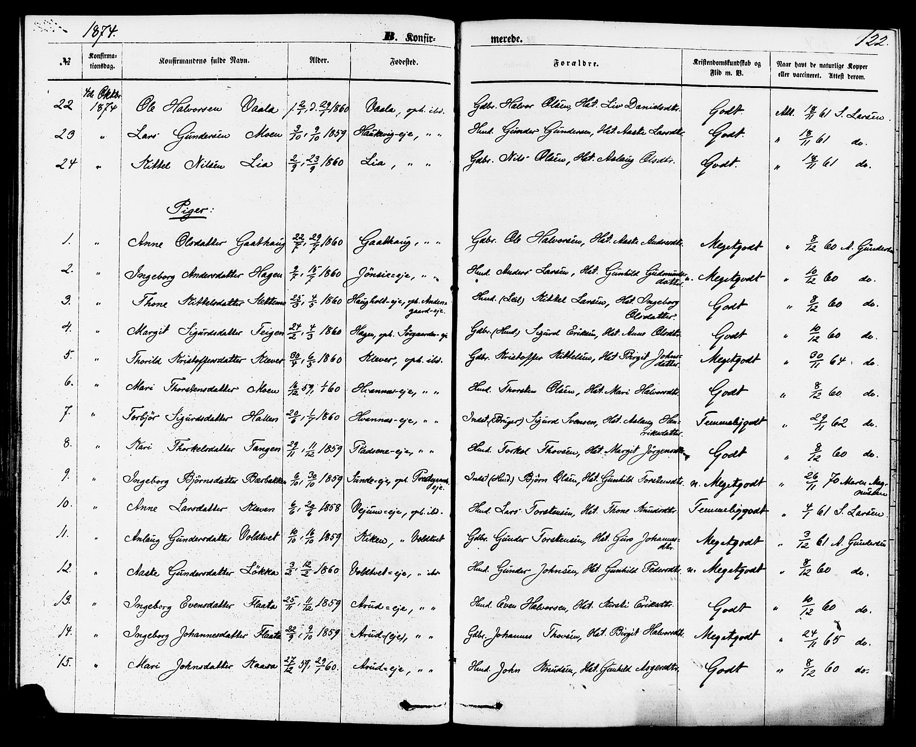 Sauherad kirkebøker, SAKO/A-298/F/Fa/L0008: Parish register (official) no. I 8, 1873-1886, p. 122