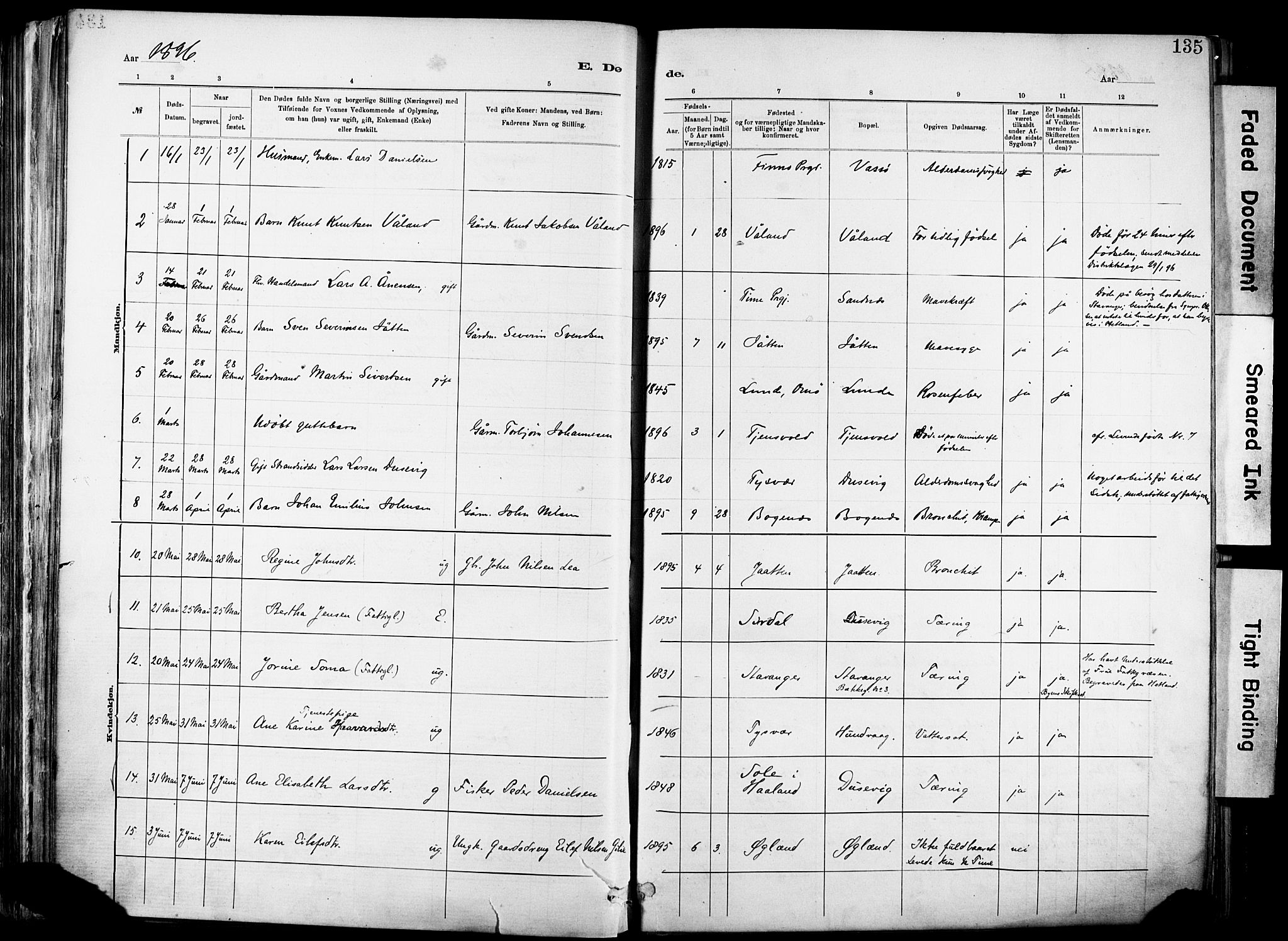 Hetland sokneprestkontor, SAST/A-101826/30/30BA/L0012: Parish register (official) no. A 12, 1882-1912, p. 135