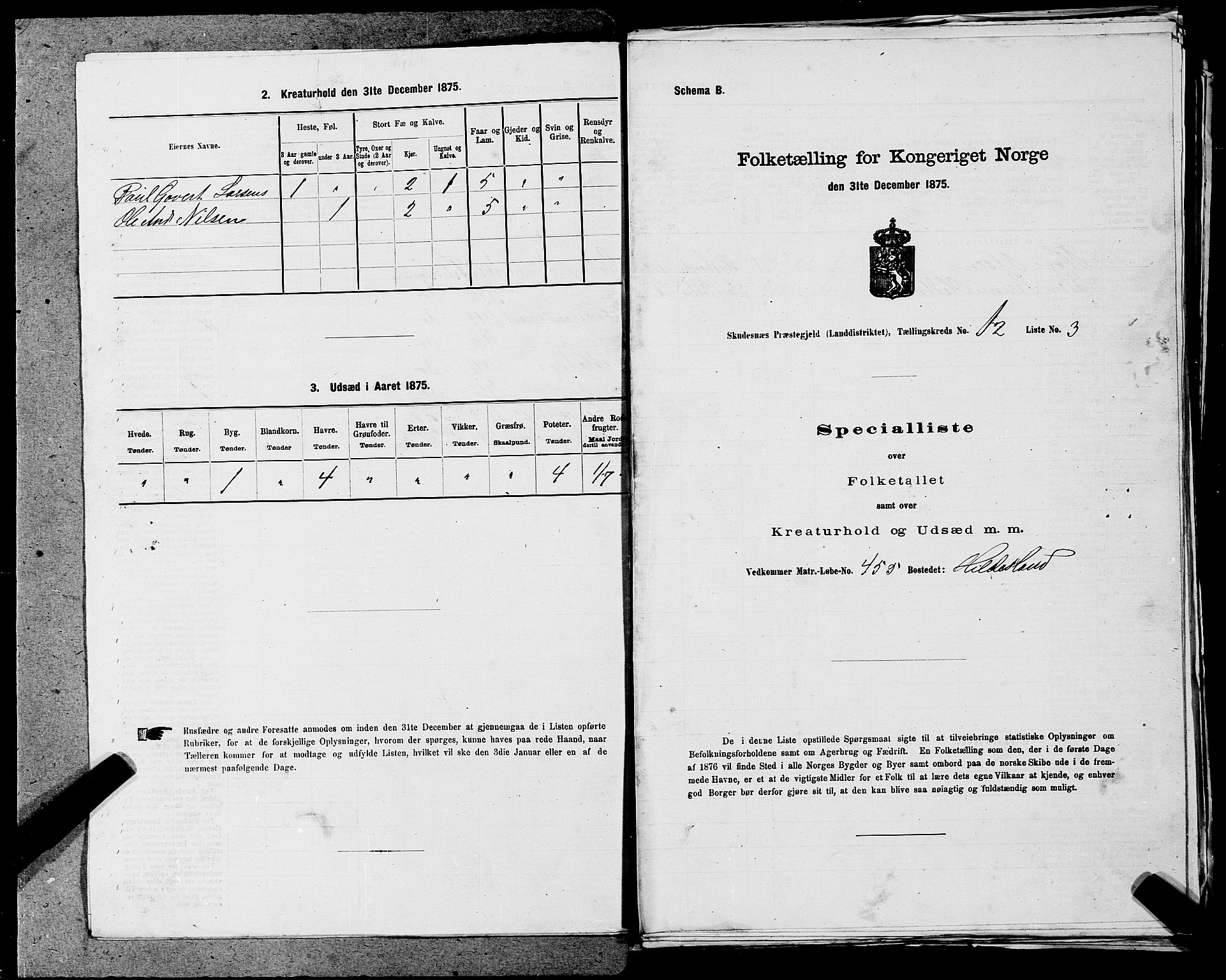 SAST, 1875 census for 1150L Skudenes/Falnes, Åkra og Ferkingstad, 1875, p. 1643