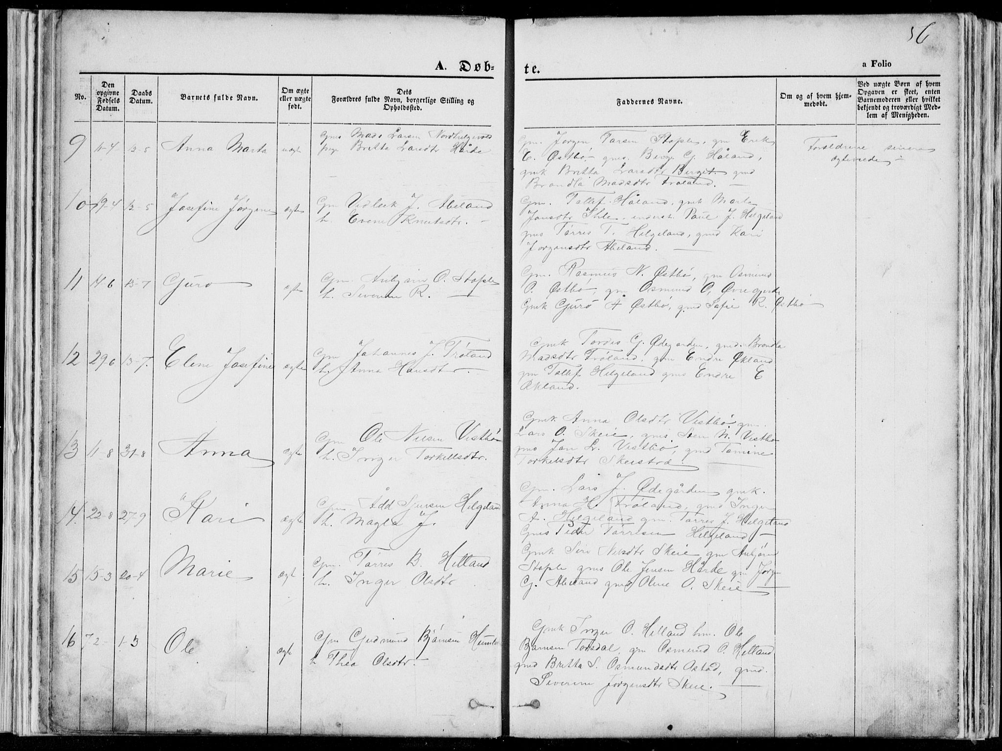 Vikedal sokneprestkontor, SAST/A-101840/01/V: Parish register (copy) no. B 10, 1864-1926, p. 56