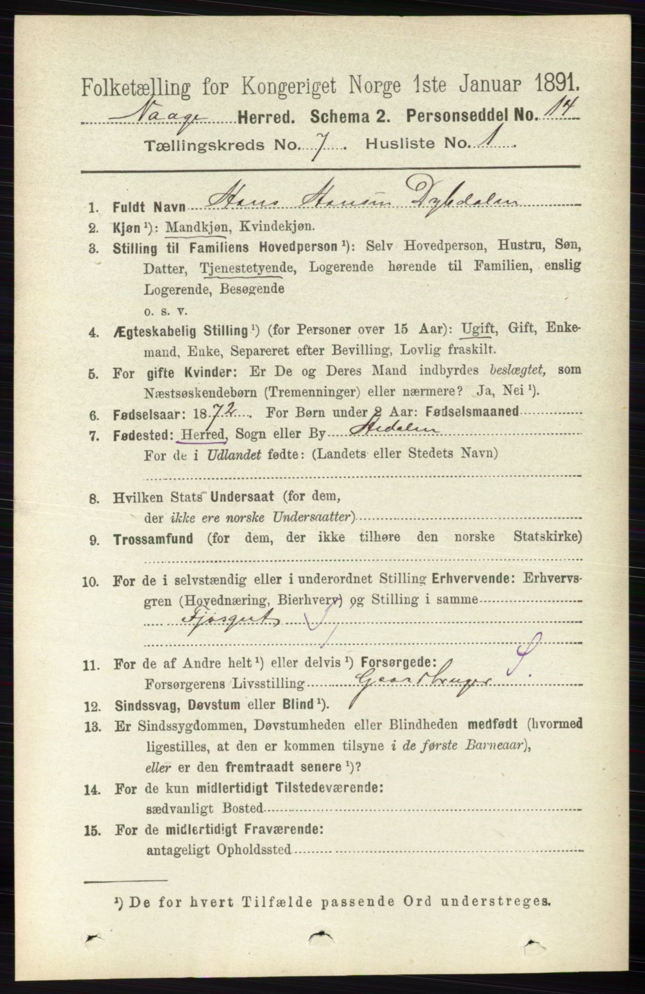 RA, 1891 census for 0515 Vågå, 1891, p. 4339