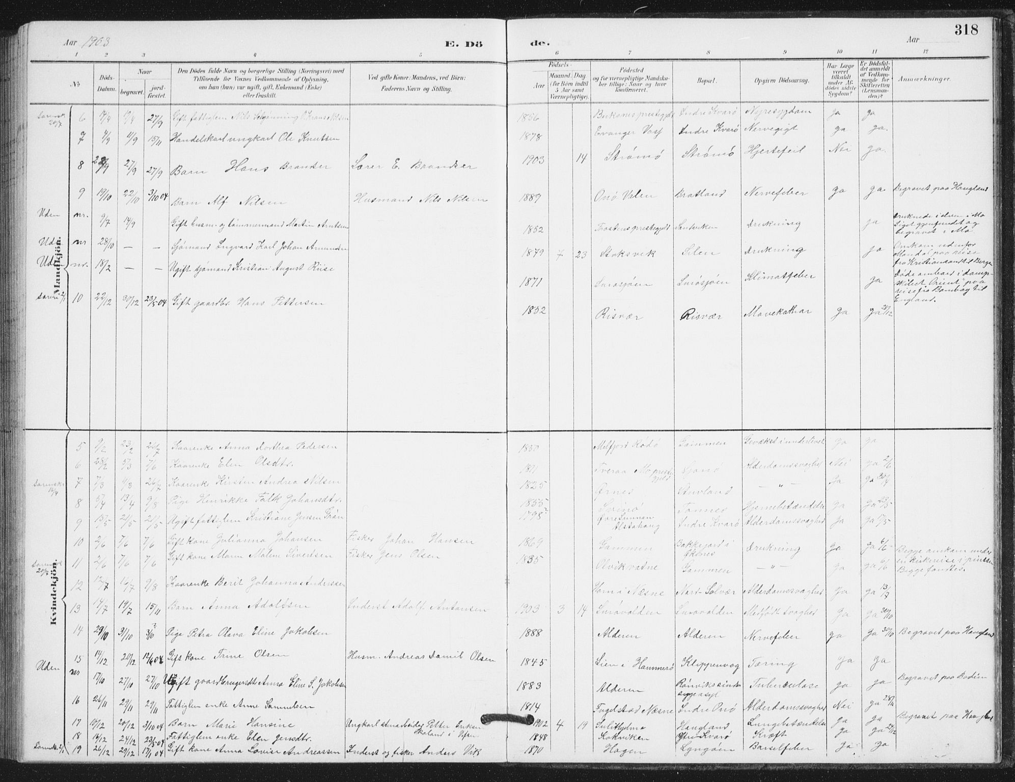 Ministerialprotokoller, klokkerbøker og fødselsregistre - Nordland, AV/SAT-A-1459/839/L0573: Parish register (copy) no. 839C03, 1892-1917, p. 318