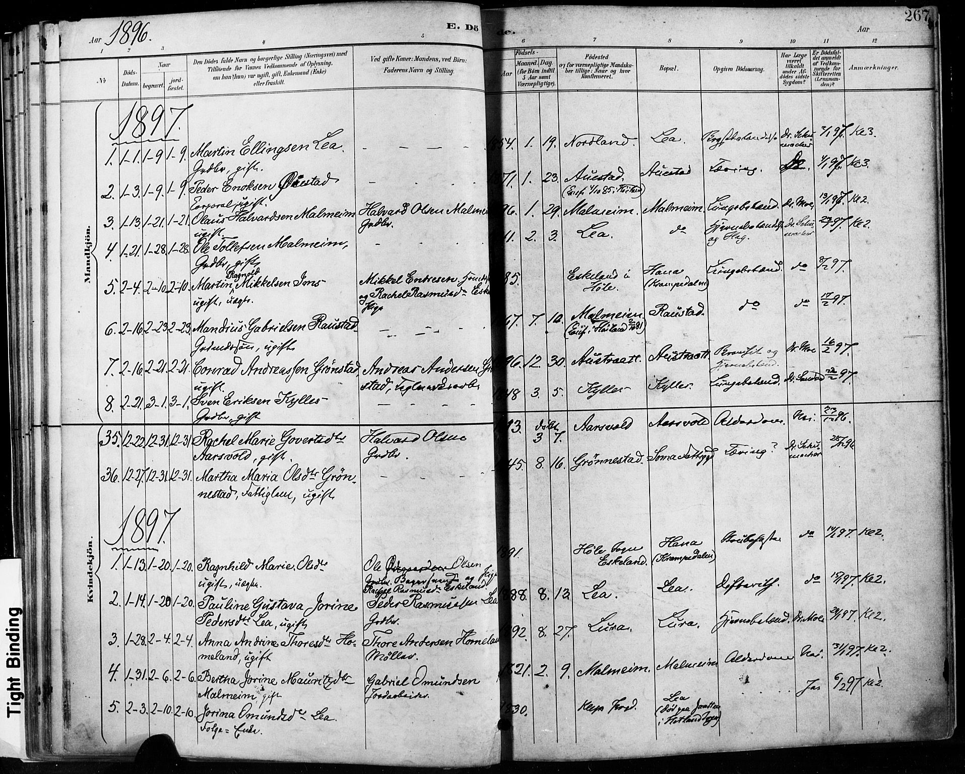 Høyland sokneprestkontor, SAST/A-101799/001/30BA/L0013: Parish register (official) no. A 13.2, 1889-1898, p. 267