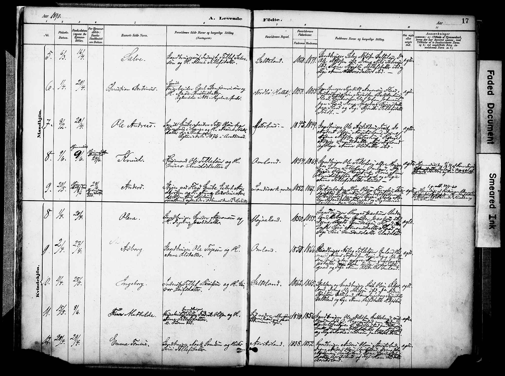 Evje sokneprestkontor, AV/SAK-1111-0008/F/Fa/Faa/L0007: Parish register (official) no. A 7, 1884-1909, p. 17