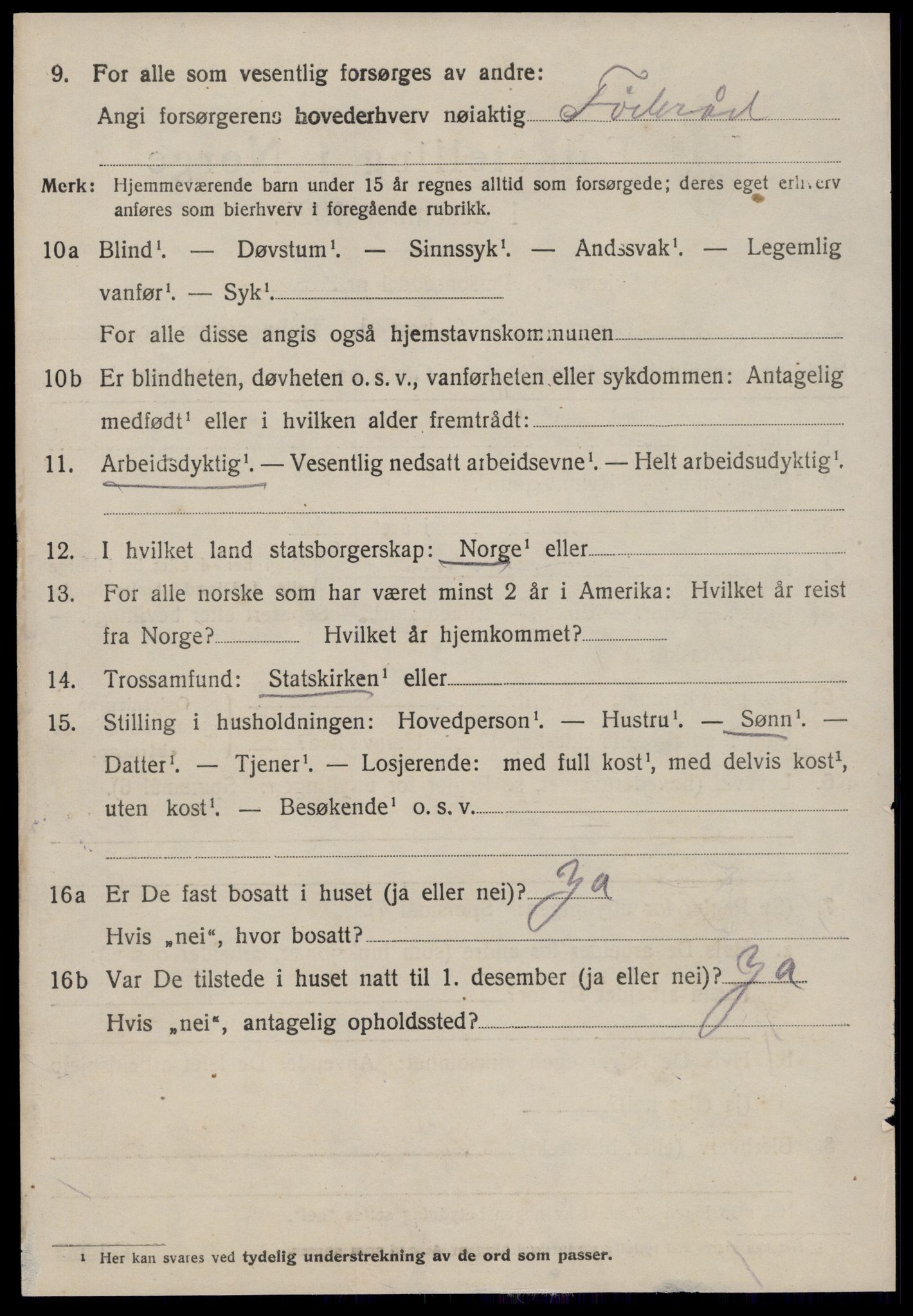 SAT, 1920 census for Hustad, 1920, p. 2496