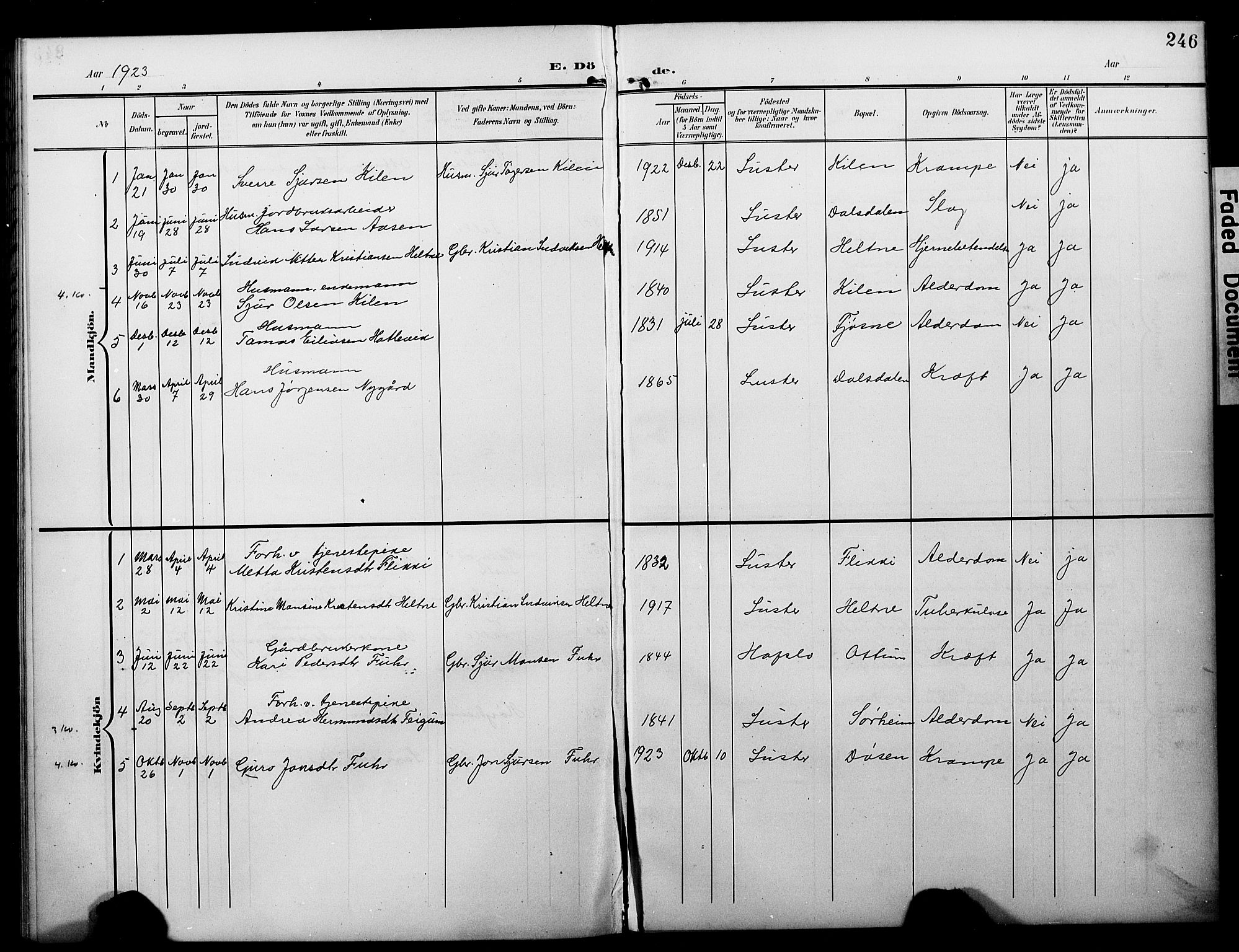 Luster sokneprestembete, AV/SAB-A-81101/H/Hab/Haba/L0001: Parish register (copy) no. A 1, 1903-1930, p. 246