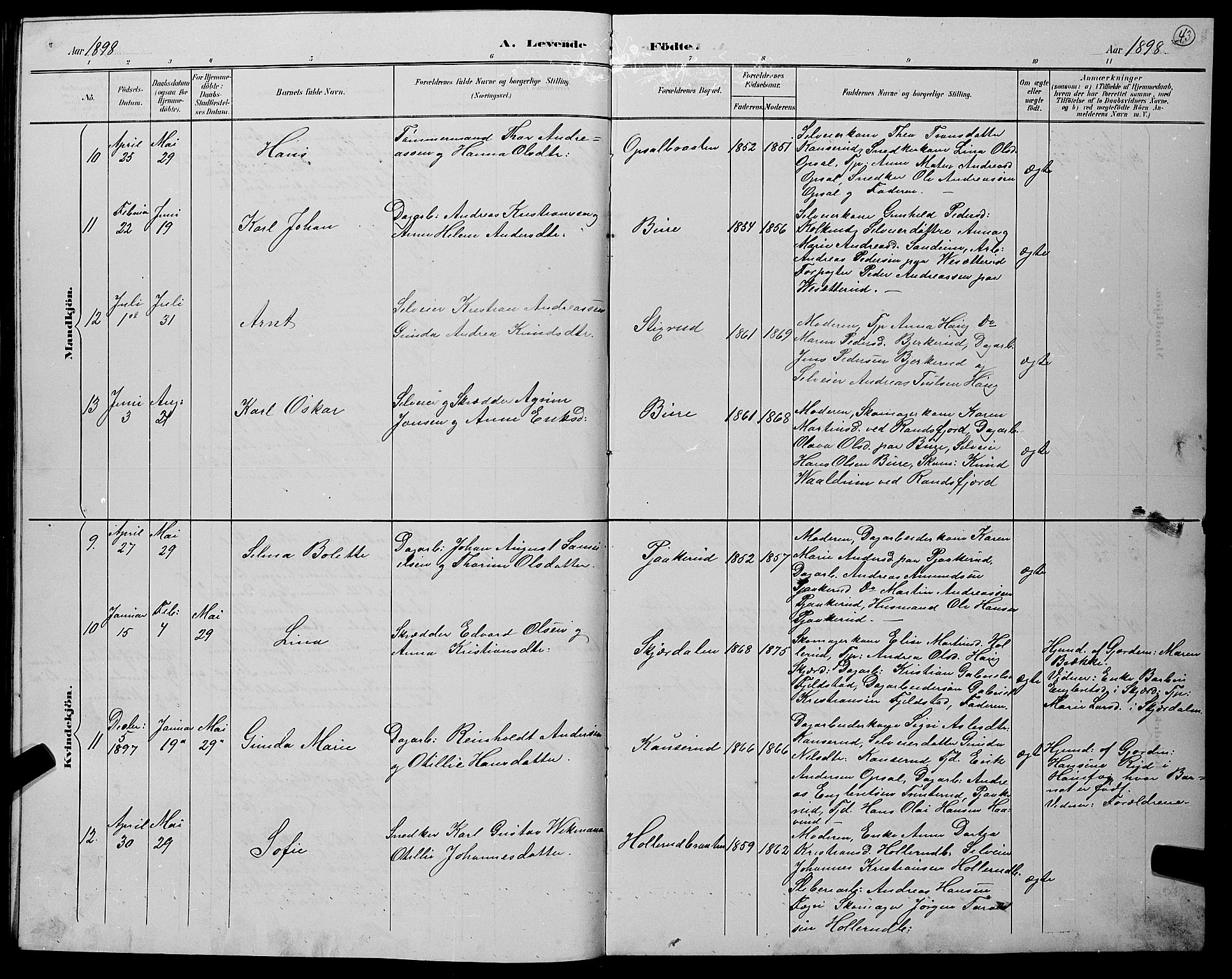 Hole kirkebøker, AV/SAKO-A-228/G/Gb/L0003: Parish register (copy) no. II 3, 1890-1901, p. 43