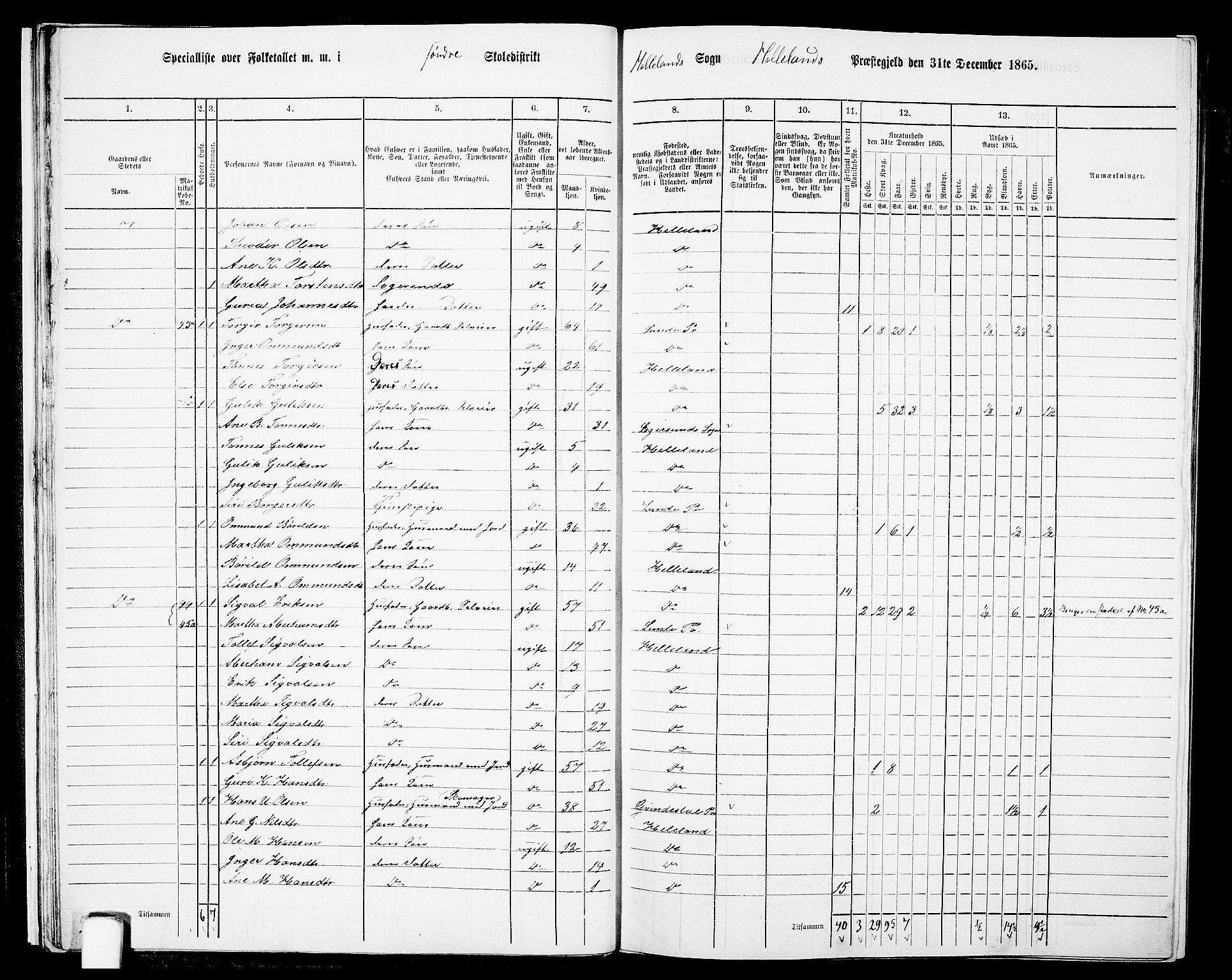 RA, 1865 census for Helleland, 1865, p. 20