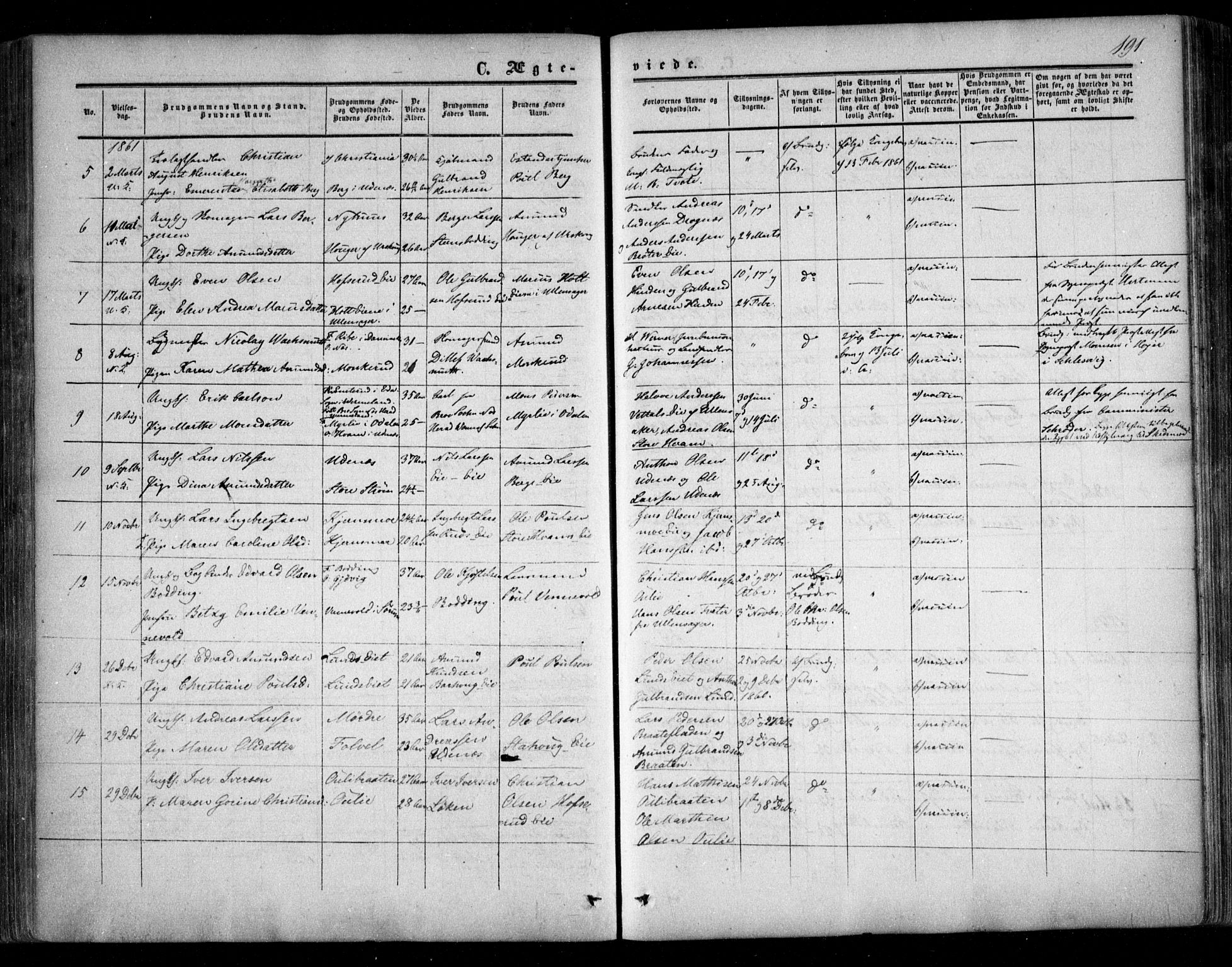 Nes prestekontor Kirkebøker, SAO/A-10410/F/Fc/L0001: Parish register (official) no. III 1, 1859-1882, p. 191