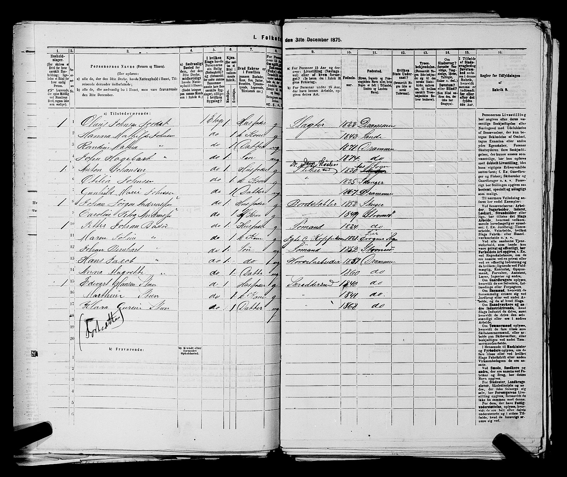 SAKO, 1875 census for 0602 Drammen, 1875, p. 1960