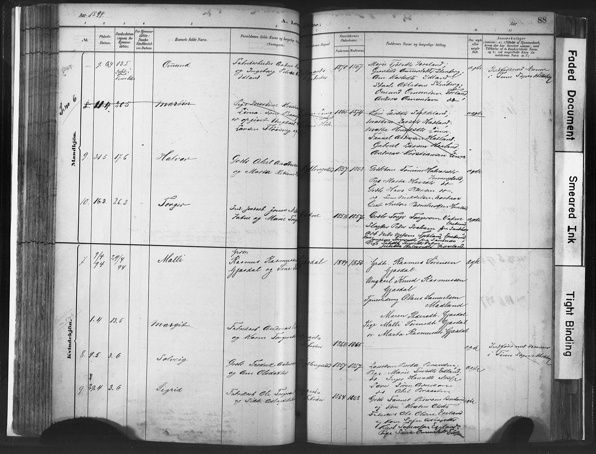 Lye sokneprestkontor, SAST/A-101794/001/30BA/L0010: Parish register (official) no. A 10, 1881-1896, p. 88