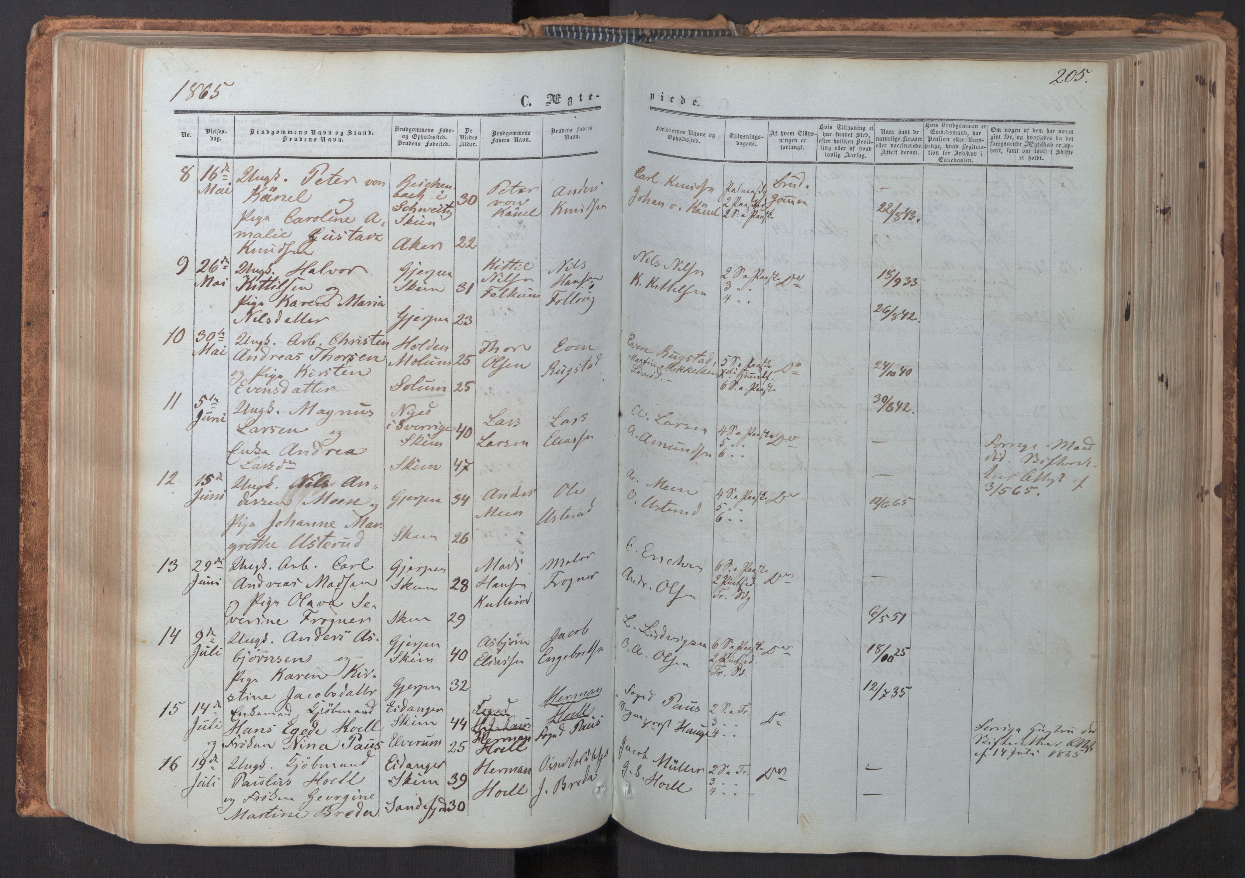 Skien kirkebøker, SAKO/A-302/F/Fa/L0007: Parish register (official) no. 7, 1856-1865, p. 205