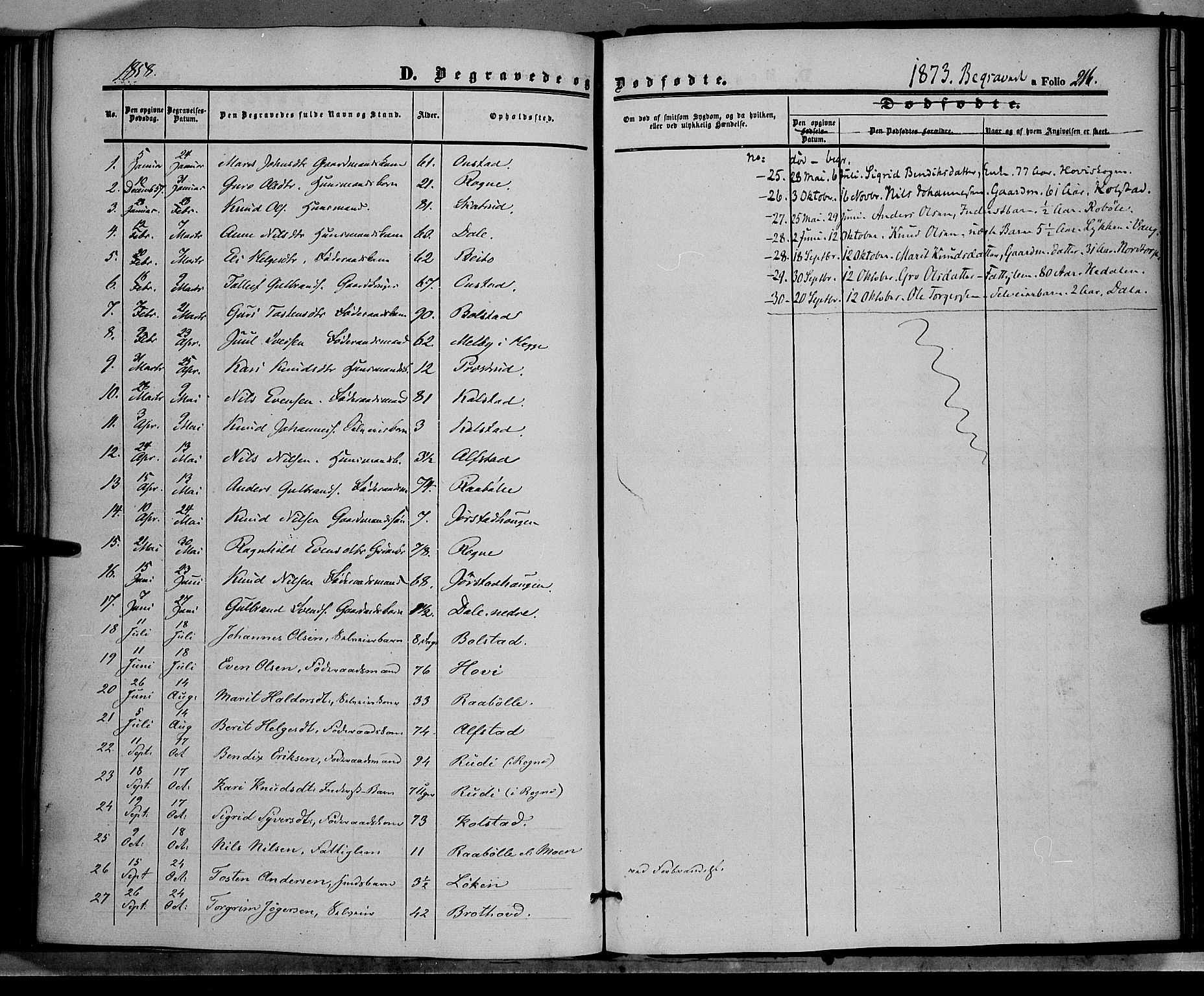 Øystre Slidre prestekontor, SAH/PREST-138/H/Ha/Haa/L0001: Parish register (official) no. 1, 1849-1874, p. 216