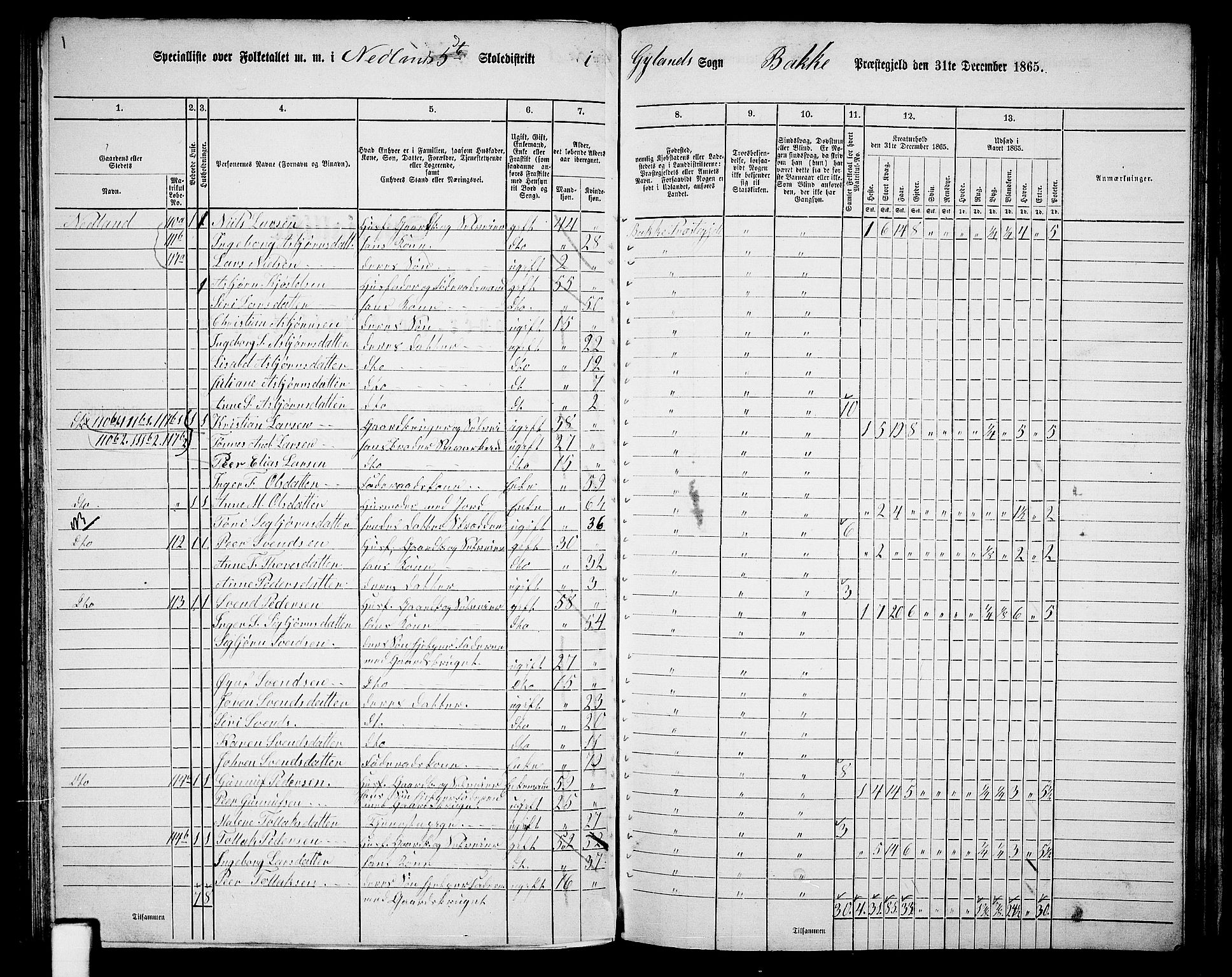 RA, 1865 census for Bakke, 1865, p. 49