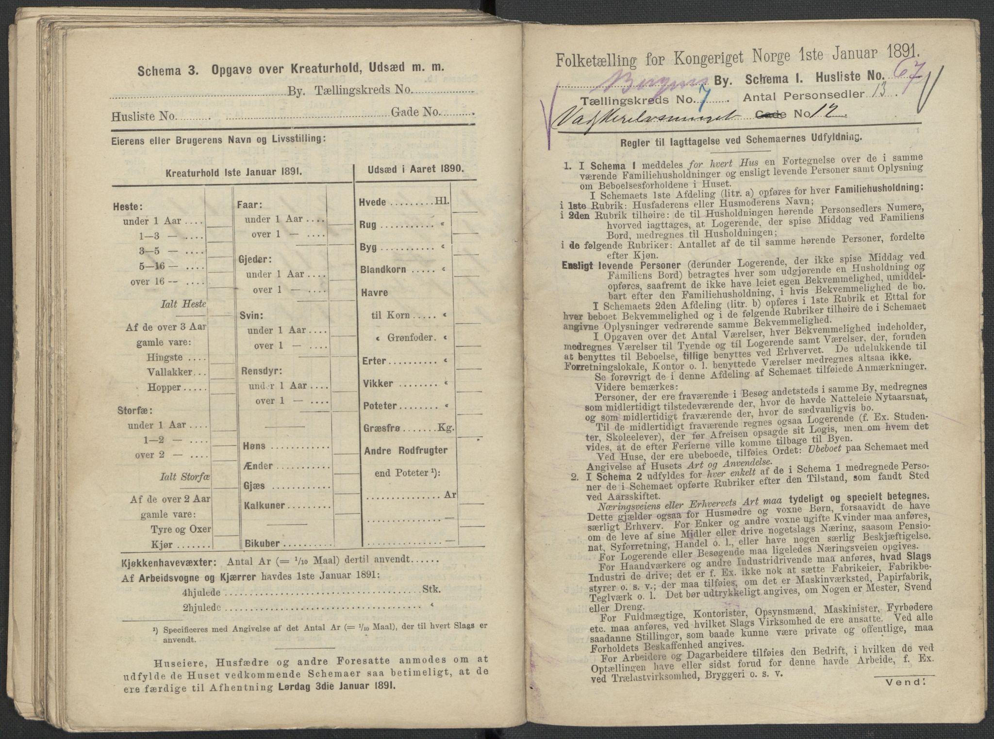 RA, 1891 Census for 1301 Bergen, 1891, p. 1336