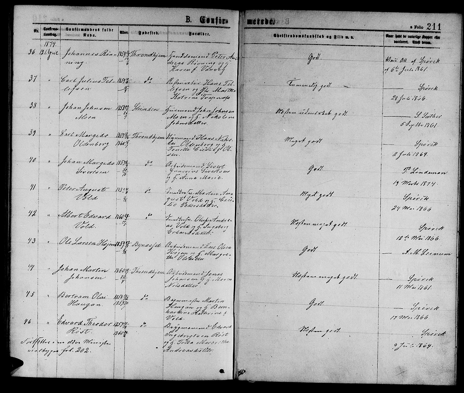 Ministerialprotokoller, klokkerbøker og fødselsregistre - Sør-Trøndelag, SAT/A-1456/601/L0088: Parish register (copy) no. 601C06, 1870-1878, p. 211a