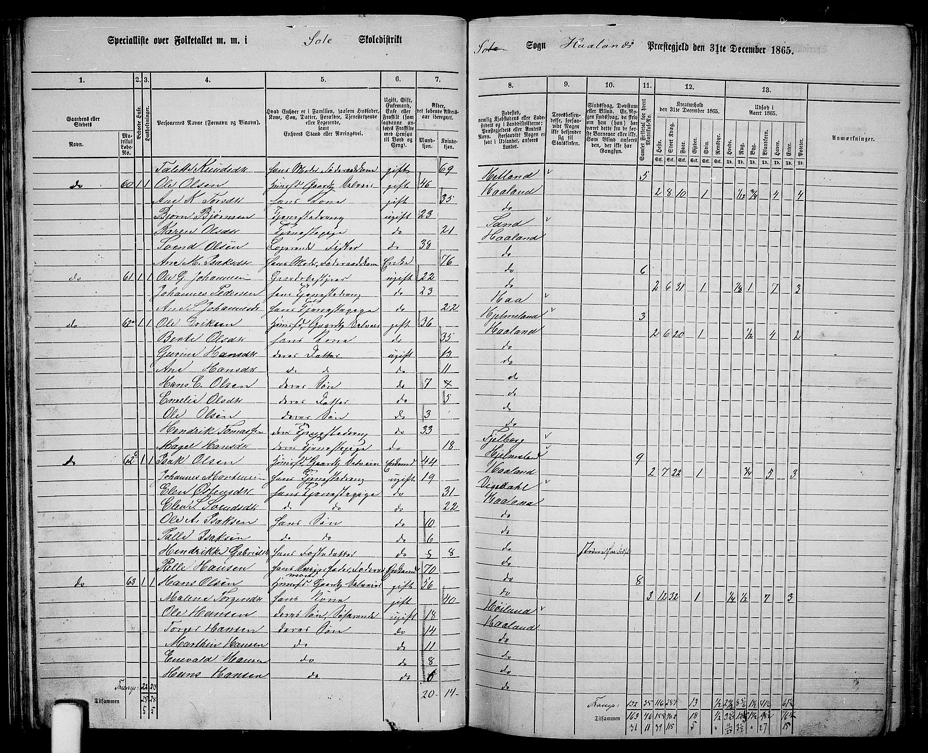 RA, 1865 census for Håland, 1865, p. 40