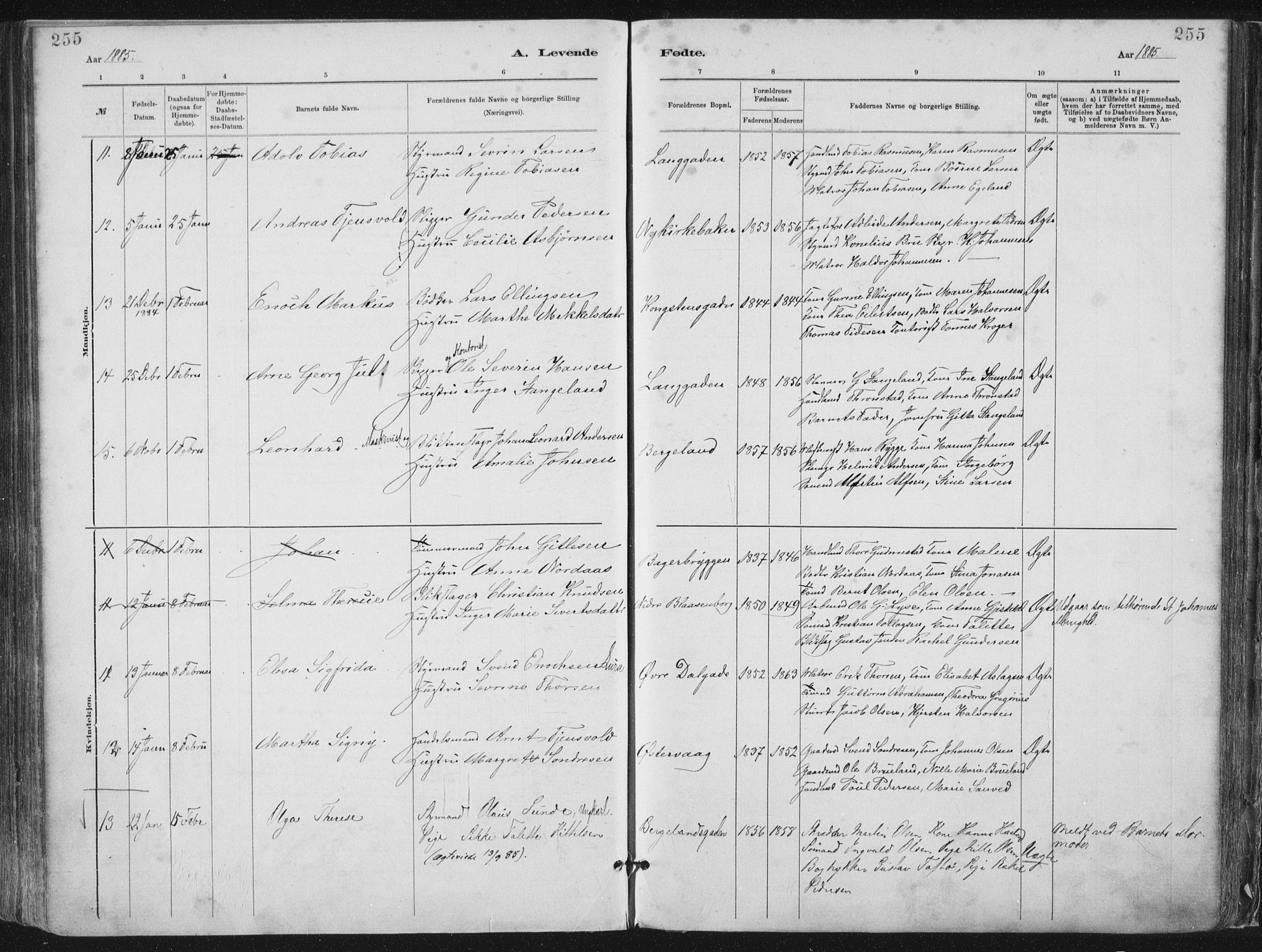 St. Petri sokneprestkontor, AV/SAST-A-101813/001/30/30BA/L0015: Parish register (official) no. A 15, 1879-1888, p. 255