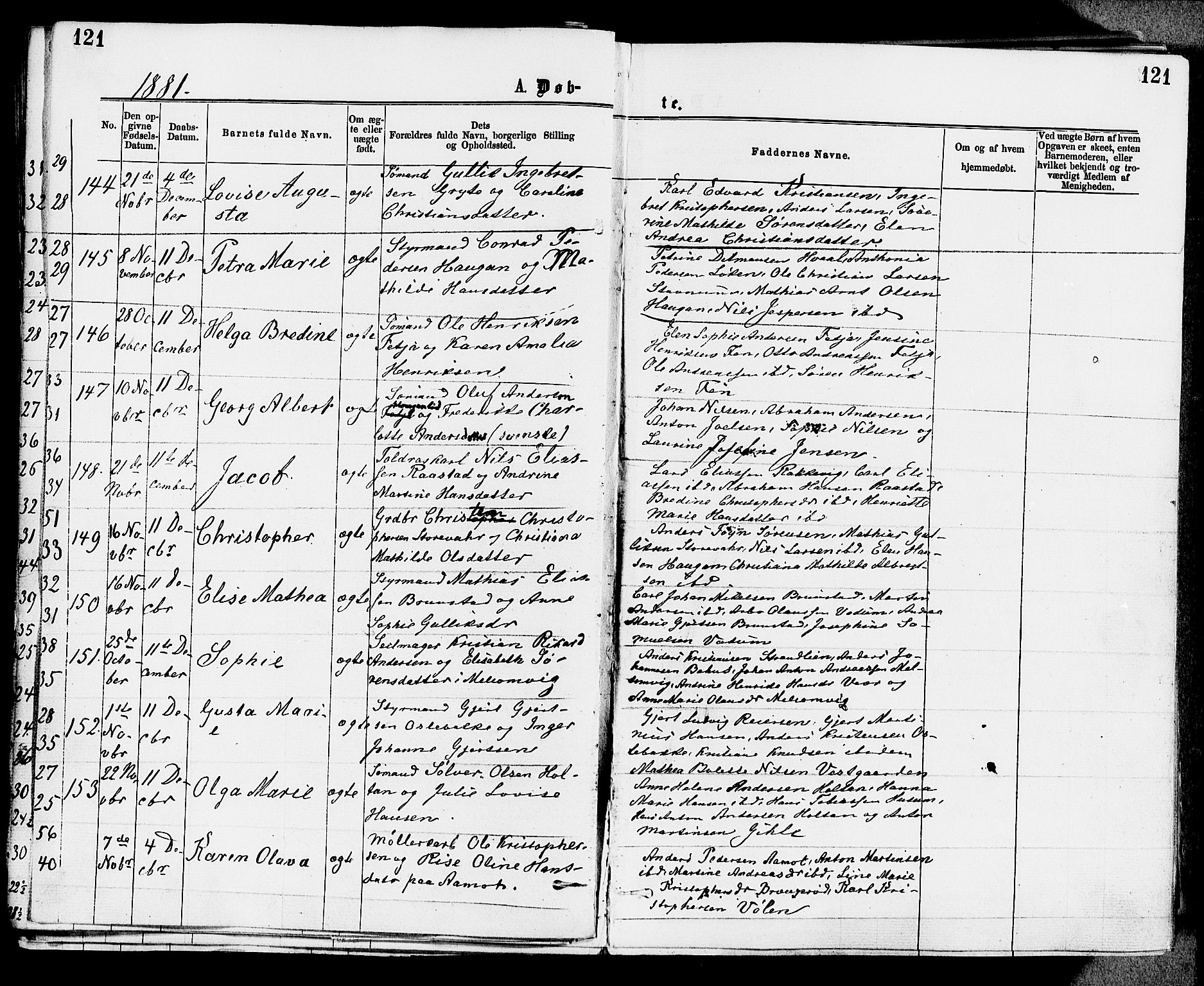 Stokke kirkebøker, AV/SAKO-A-320/F/Fa/L0009: Parish register (official) no. I 9, 1872-1883, p. 121