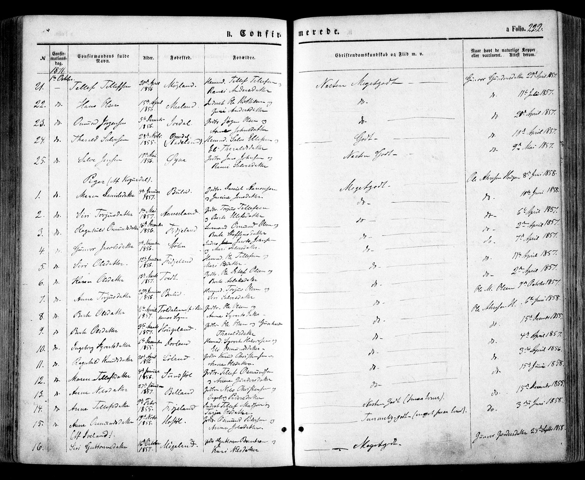 Evje sokneprestkontor, SAK/1111-0008/F/Fa/Faa/L0006: Parish register (official) no. A 6, 1866-1884, p. 222