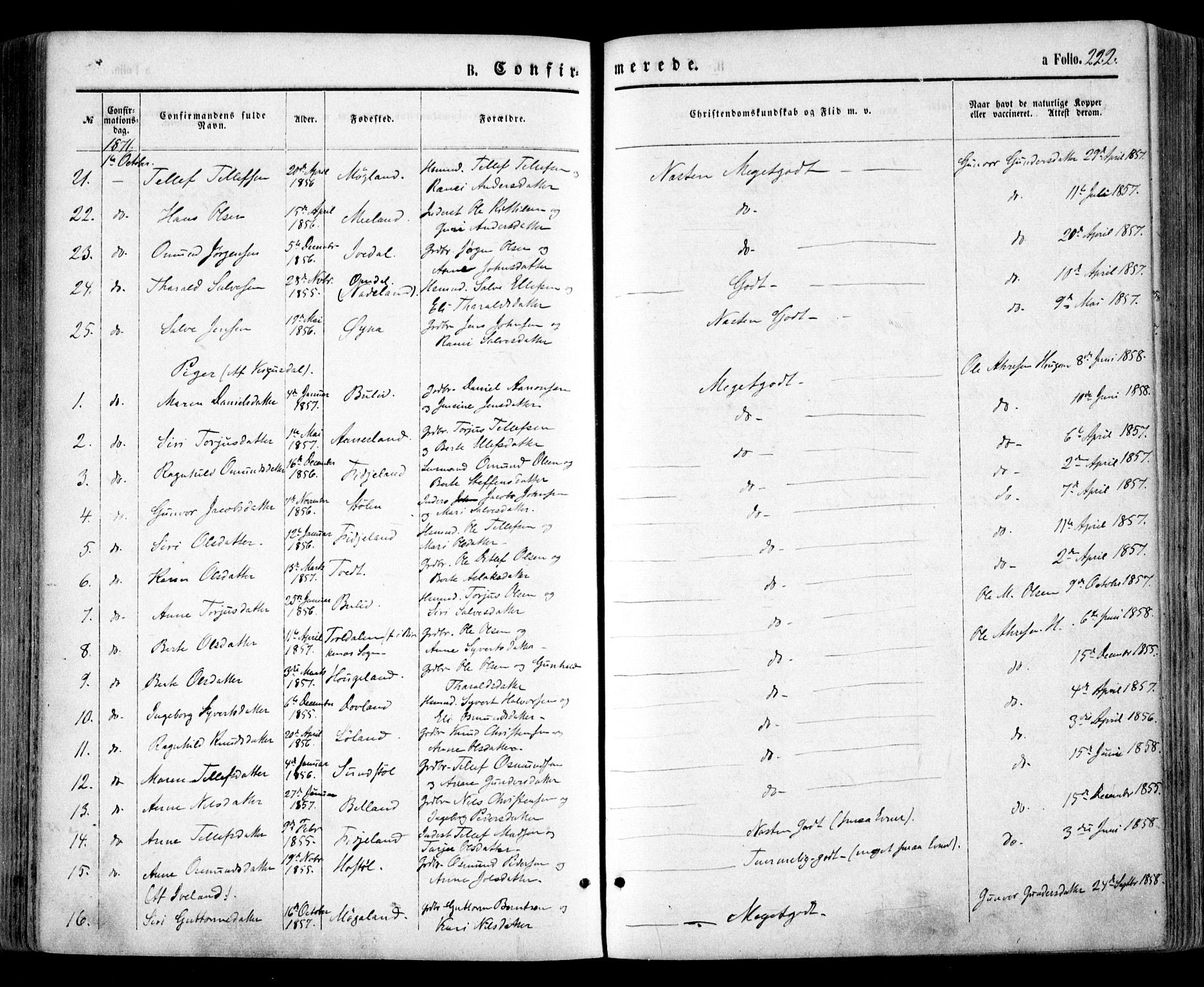 Evje sokneprestkontor, AV/SAK-1111-0008/F/Fa/Faa/L0006: Parish register (official) no. A 6, 1866-1884, p. 222