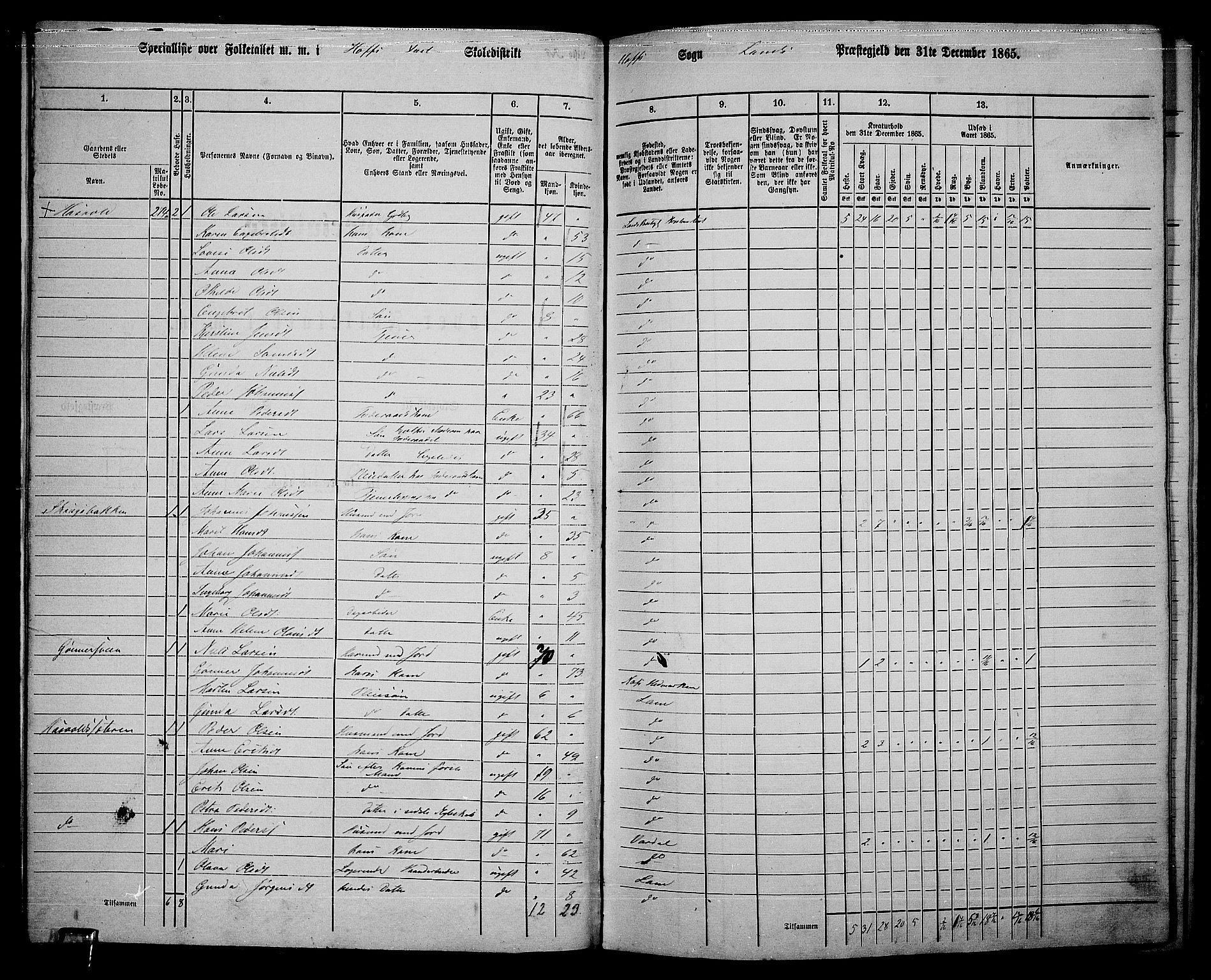 RA, 1865 census for Land, 1865, p. 304