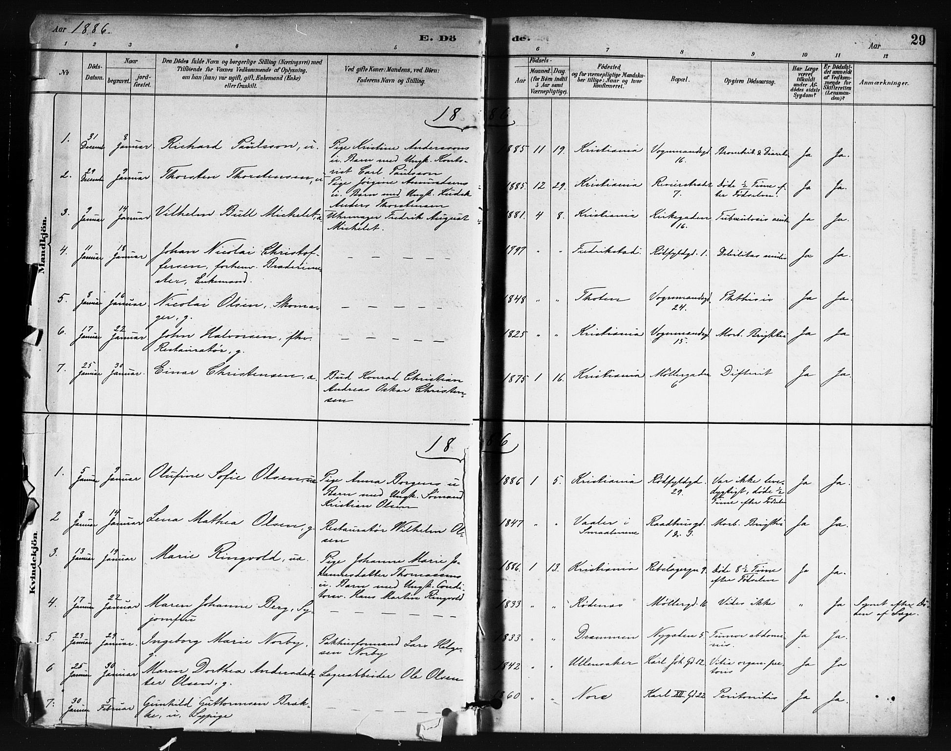 Oslo domkirke Kirkebøker, SAO/A-10752/F/Fa/L0035: Parish register (official) no. 35, 1885-1901, p. 29