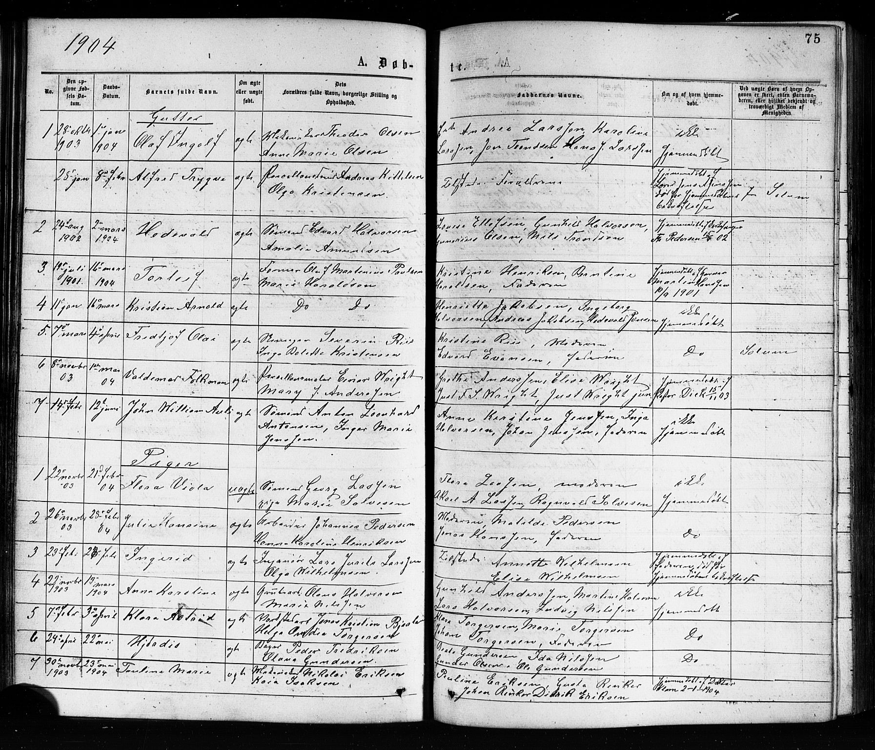 Porsgrunn kirkebøker , SAKO/A-104/G/Ga/L0003: Parish register (copy) no. I 3, 1877-1915, p. 75