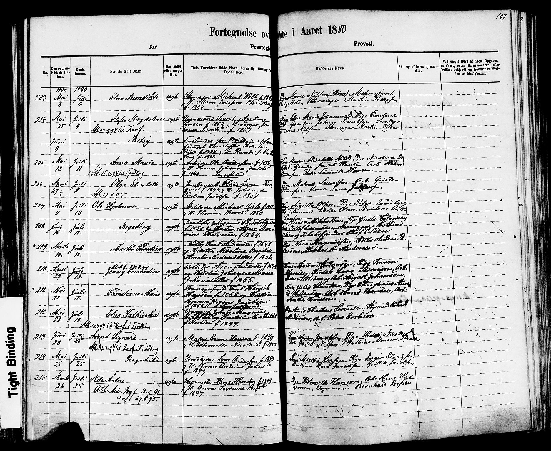 Larvik kirkebøker, AV/SAKO-A-352/F/Fa/L0006: Parish register (official) no. I 6, 1871-1883, p. 197