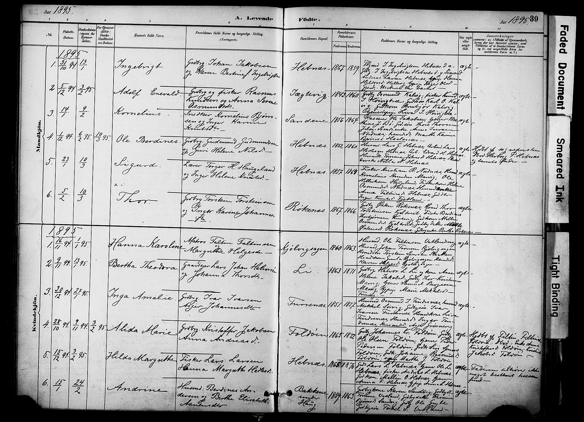 Jelsa sokneprestkontor, SAST/A-101842/01/IV: Parish register (official) no. A 10, 1884-1906, p. 39