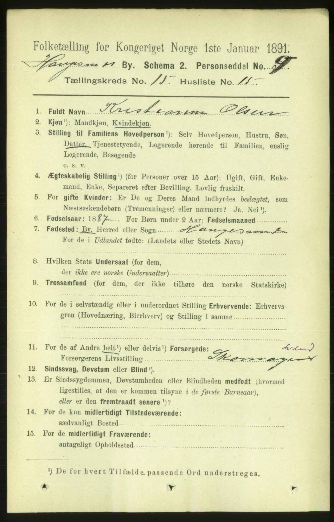 RA, 1891 census for 1106 Haugesund, 1891, p. 5059