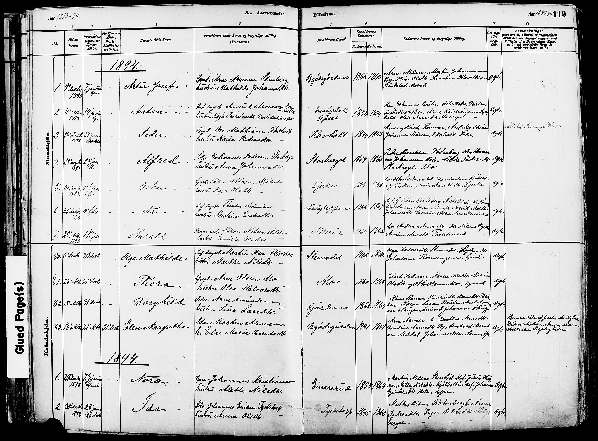 Grue prestekontor, SAH/PREST-036/H/Ha/Haa/L0012: Parish register (official) no. 12, 1881-1897, p. 119