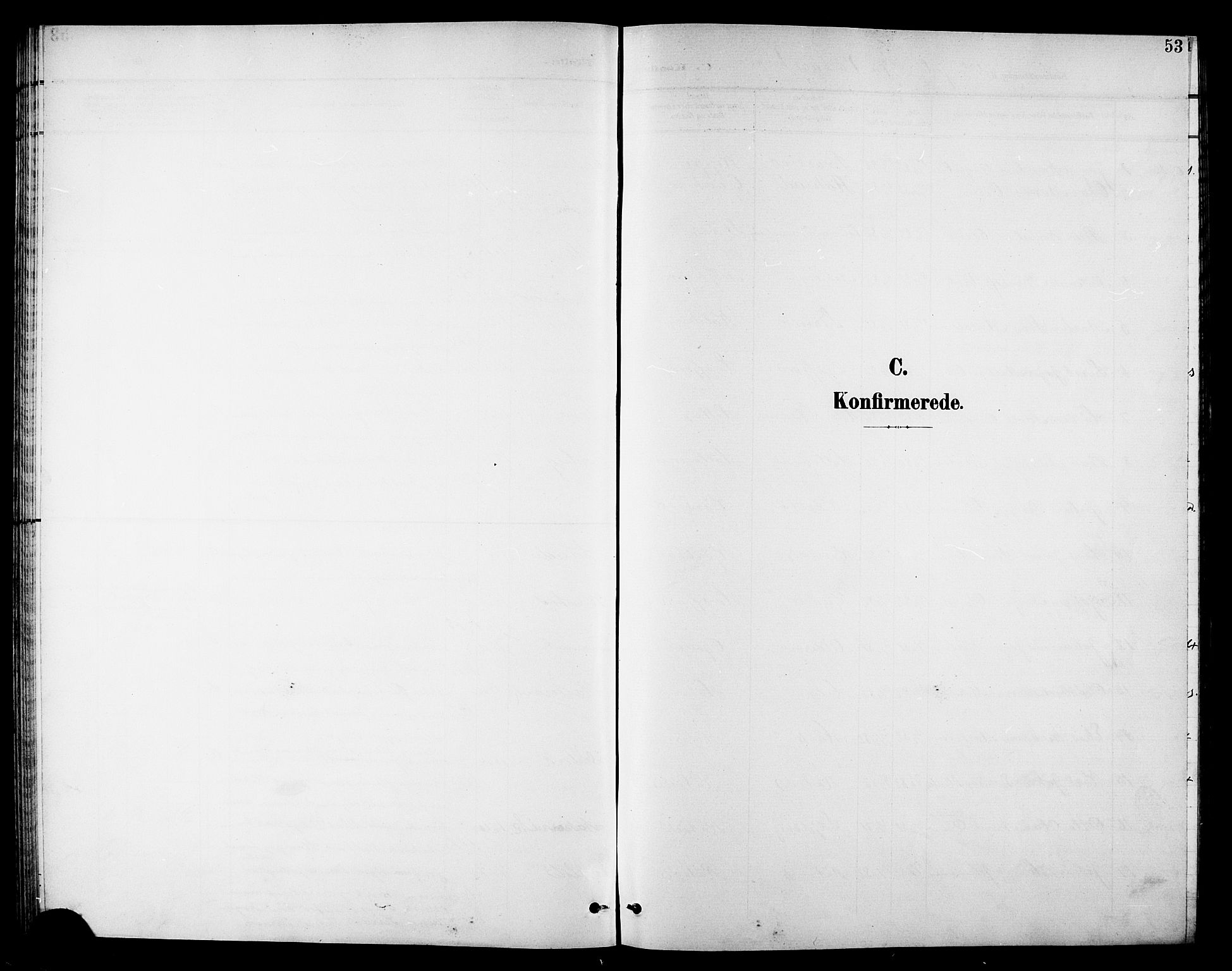 Ministerialprotokoller, klokkerbøker og fødselsregistre - Nordland, SAT/A-1459/810/L0161: Parish register (copy) no. 810C04, 1897-1910, p. 53
