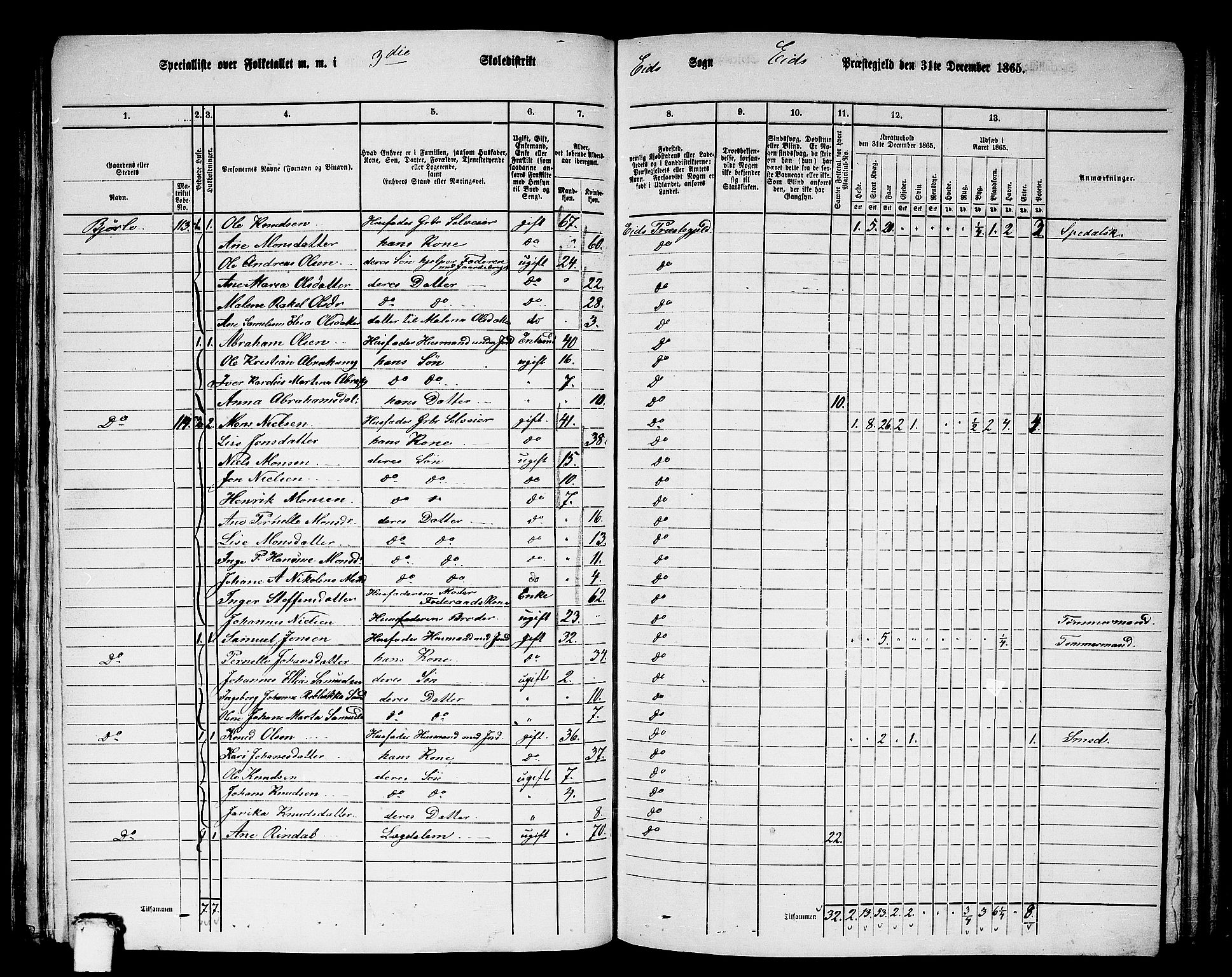 RA, 1865 census for Eid, 1865, p. 119