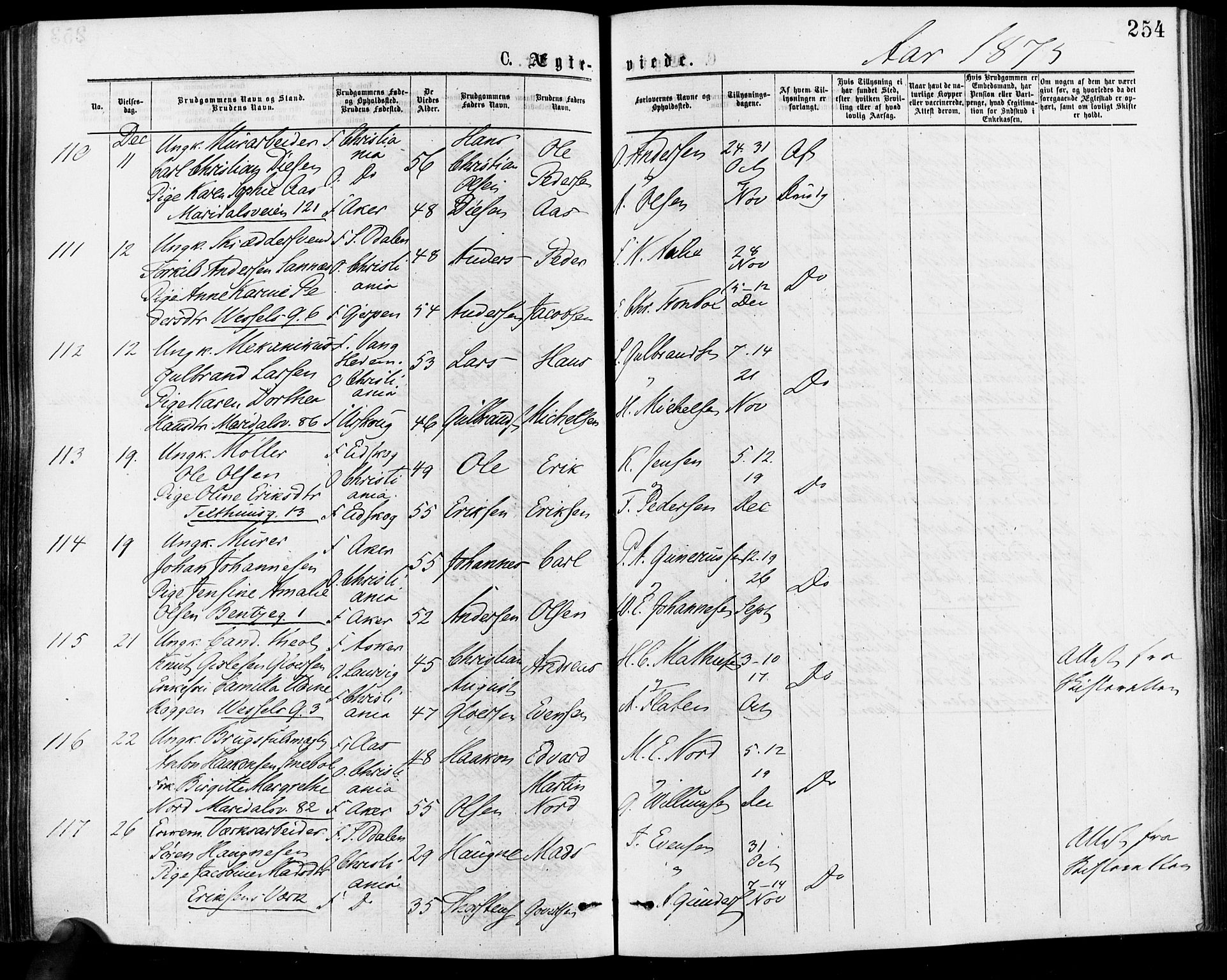 Gamle Aker prestekontor Kirkebøker, SAO/A-10617a/F/L0005: Parish register (official) no. 5, 1873-1881, p. 254