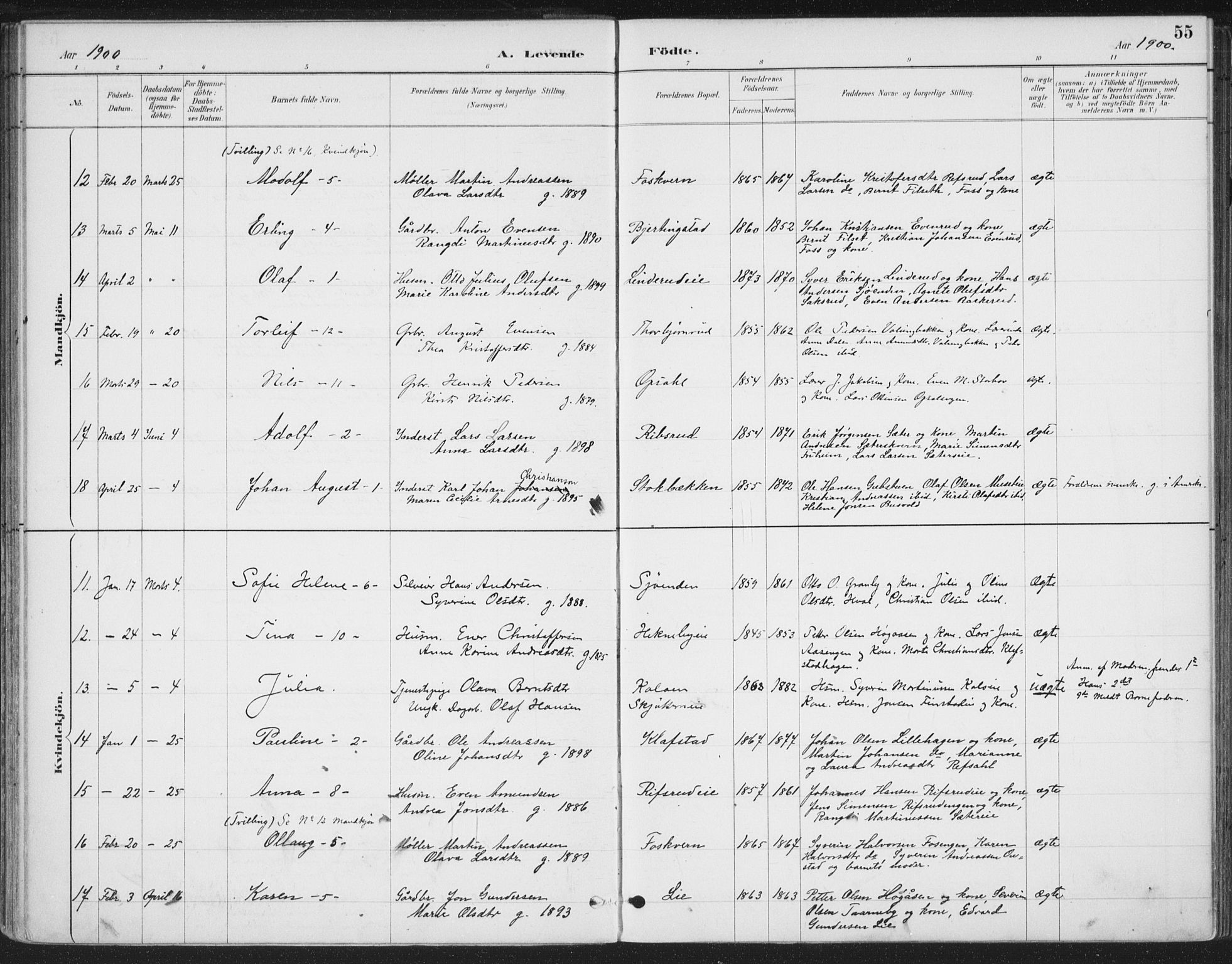 Romedal prestekontor, AV/SAH-PREST-004/K/L0008: Parish register (official) no. 8, 1887-1905, p. 55