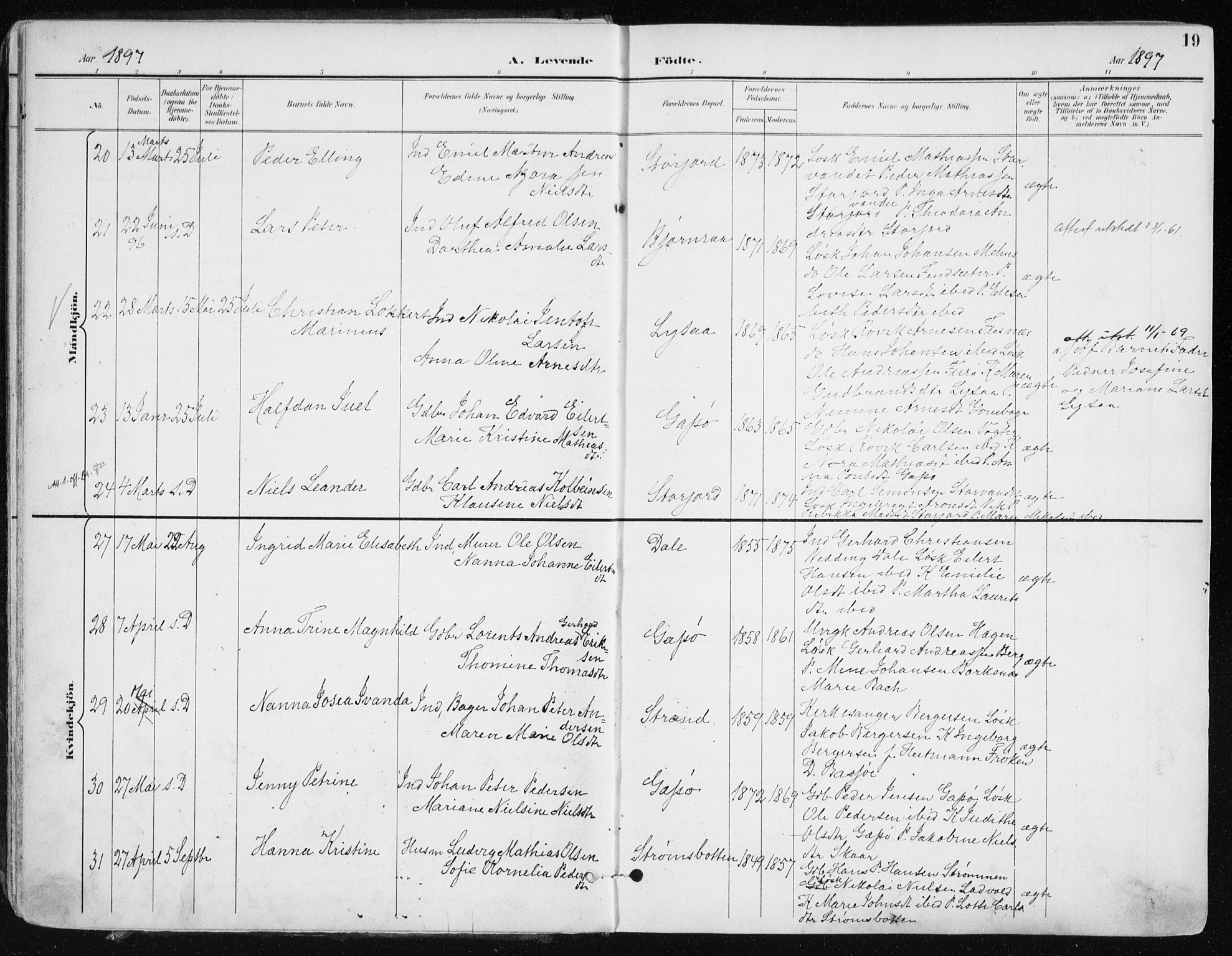 Kvæfjord sokneprestkontor, AV/SATØ-S-1323/G/Ga/Gaa/L0006kirke: Parish register (official) no. 6, 1895-1914, p. 19