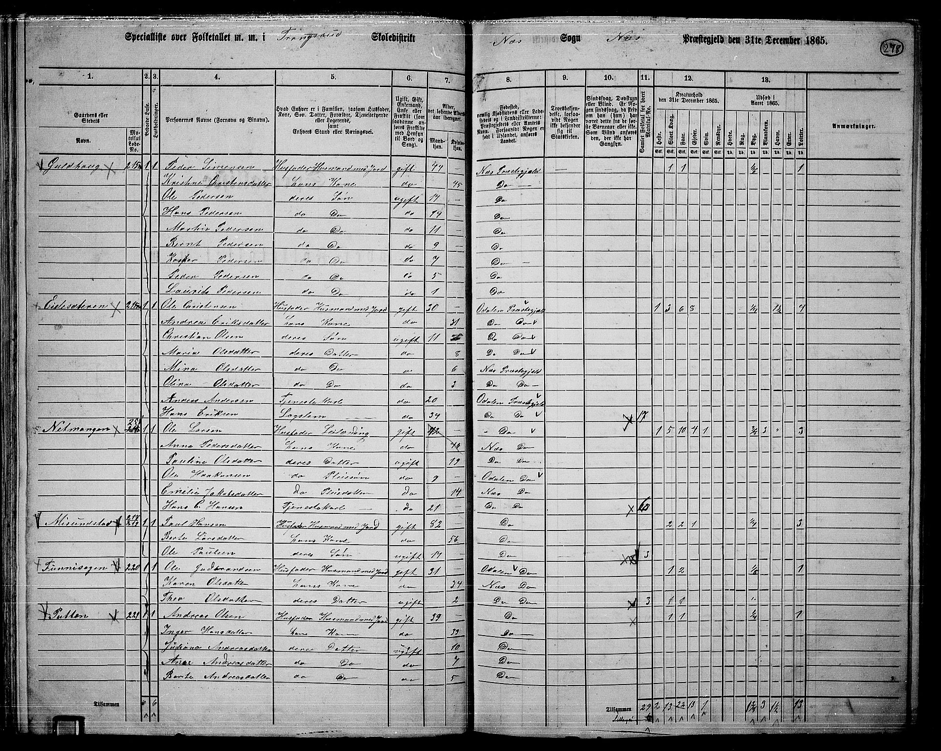 RA, 1865 census for Nes, 1865, p. 258