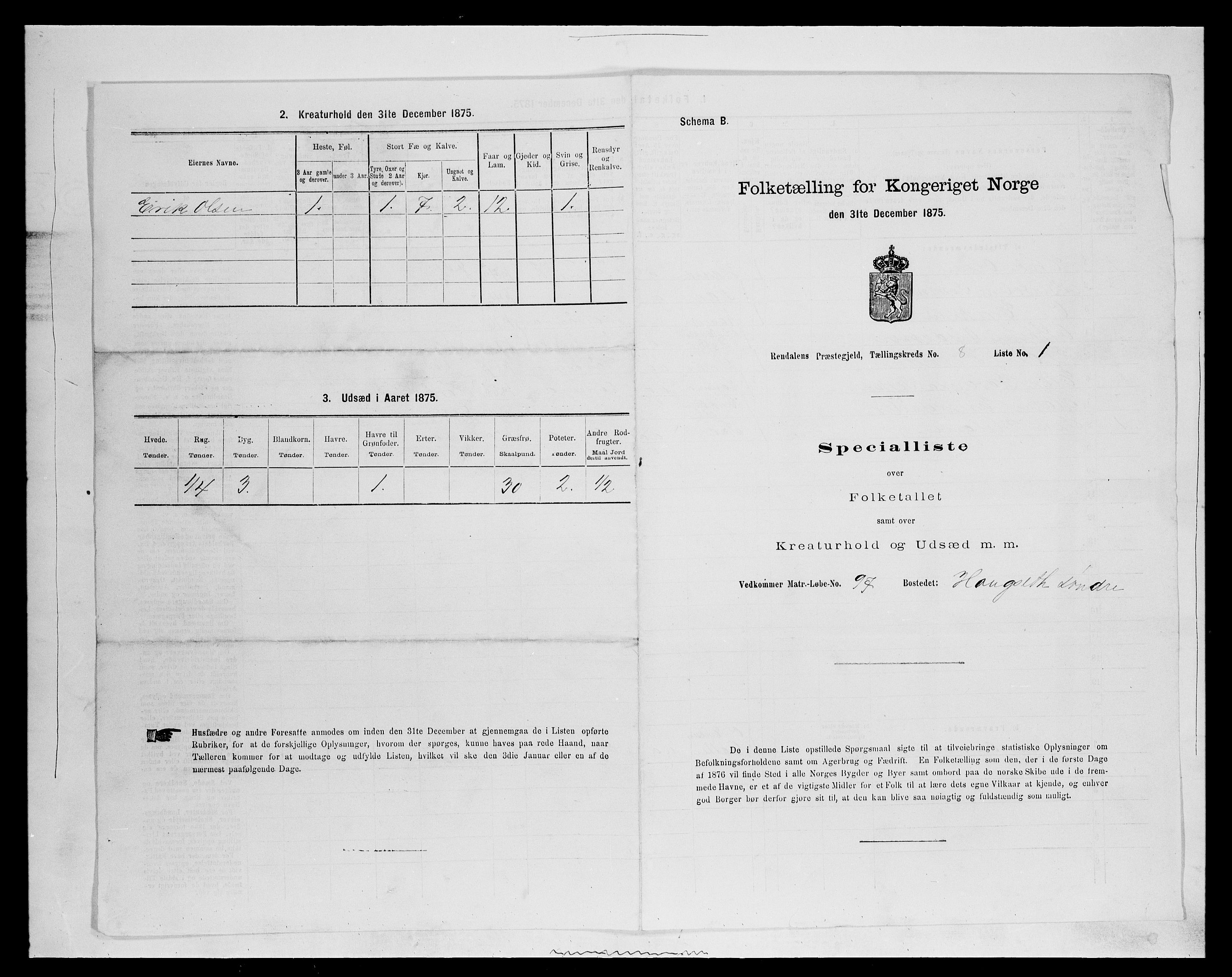 SAH, 1875 census for 0432P Rendalen, 1875, p. 702