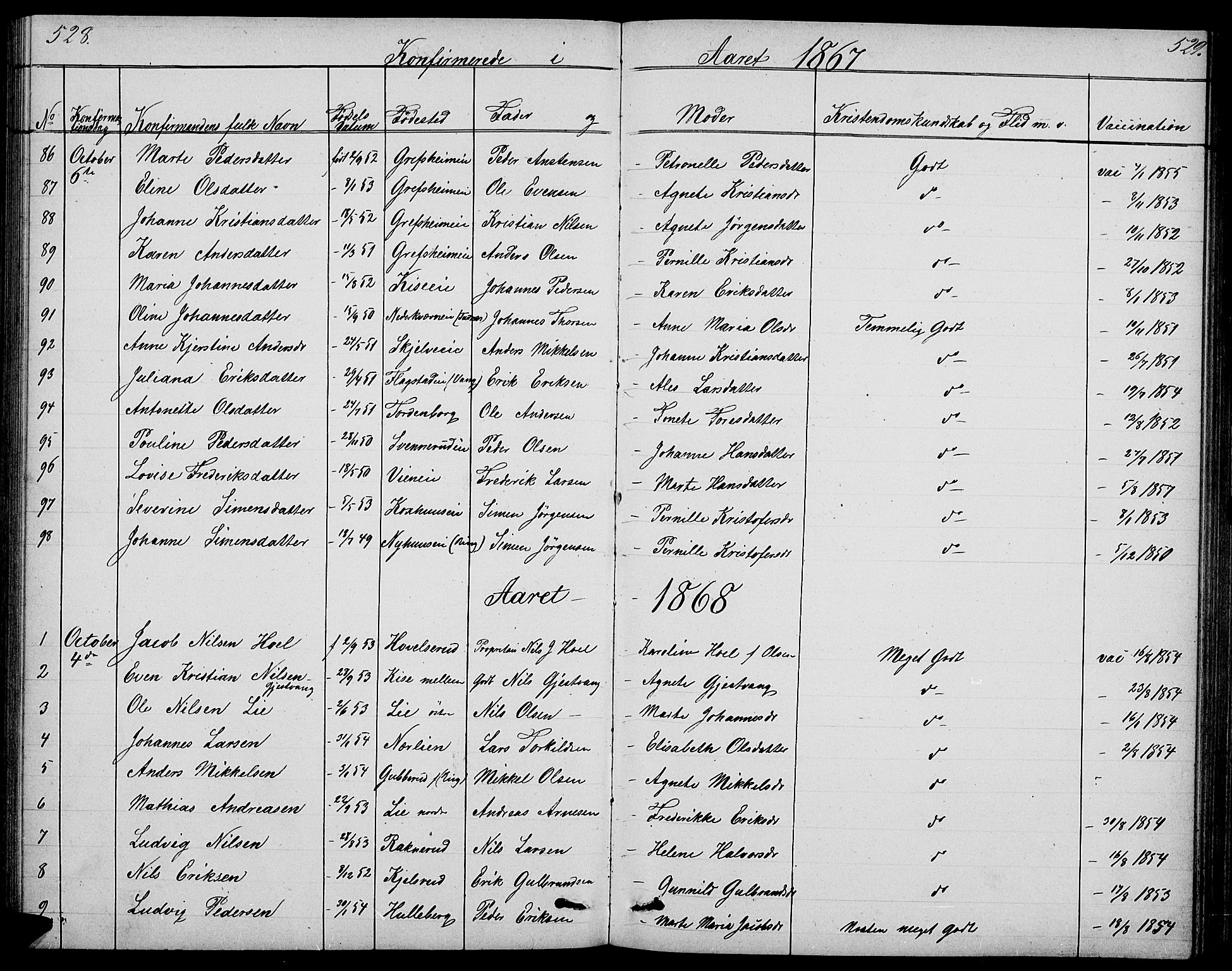 Nes prestekontor, Hedmark, SAH/PREST-020/L/La/L0005: Parish register (copy) no. 5, 1852-1889, p. 528-529
