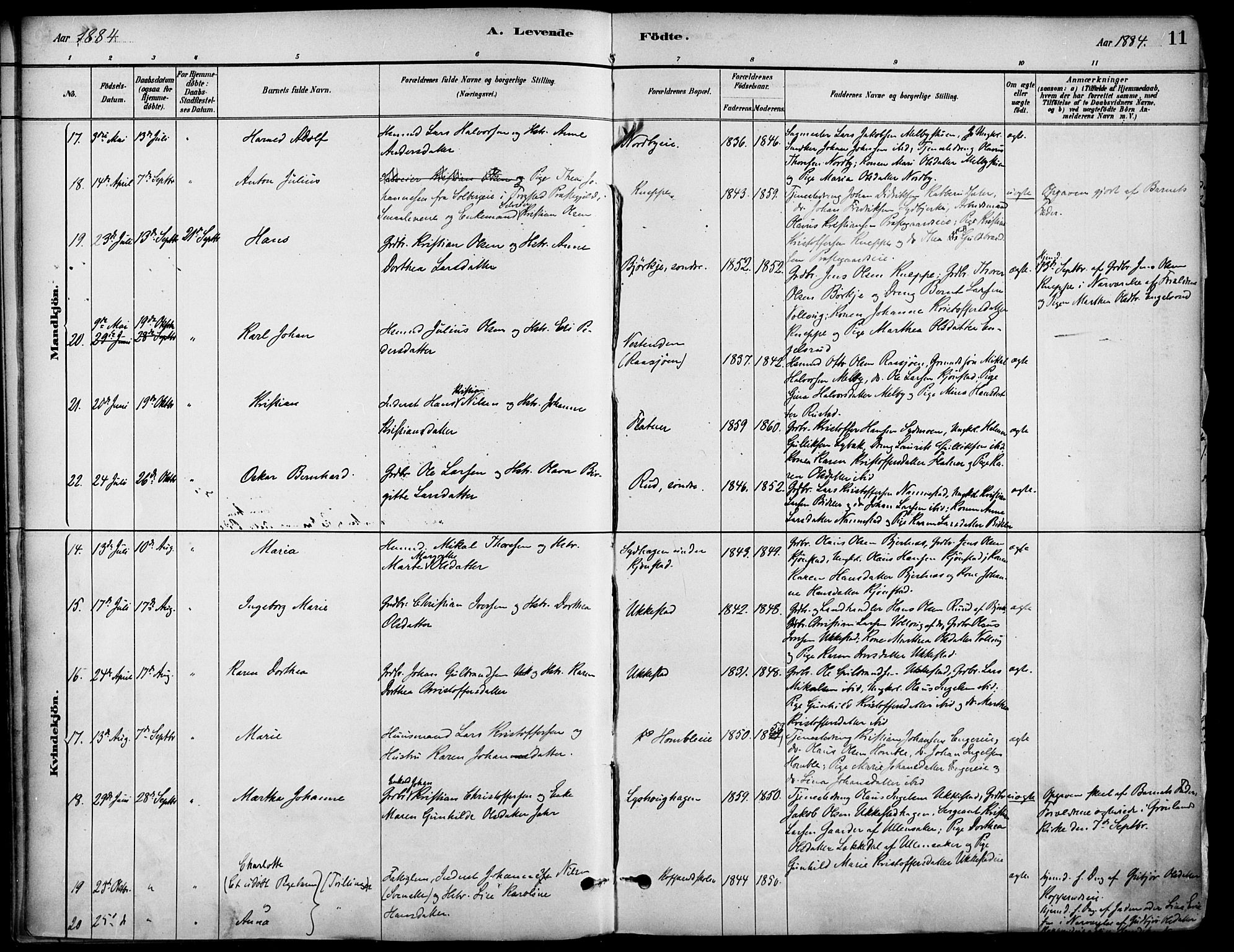 Nannestad prestekontor Kirkebøker, AV/SAO-A-10414a/F/Fa/L0014: Parish register (official) no. I 14, 1881-1890, p. 11